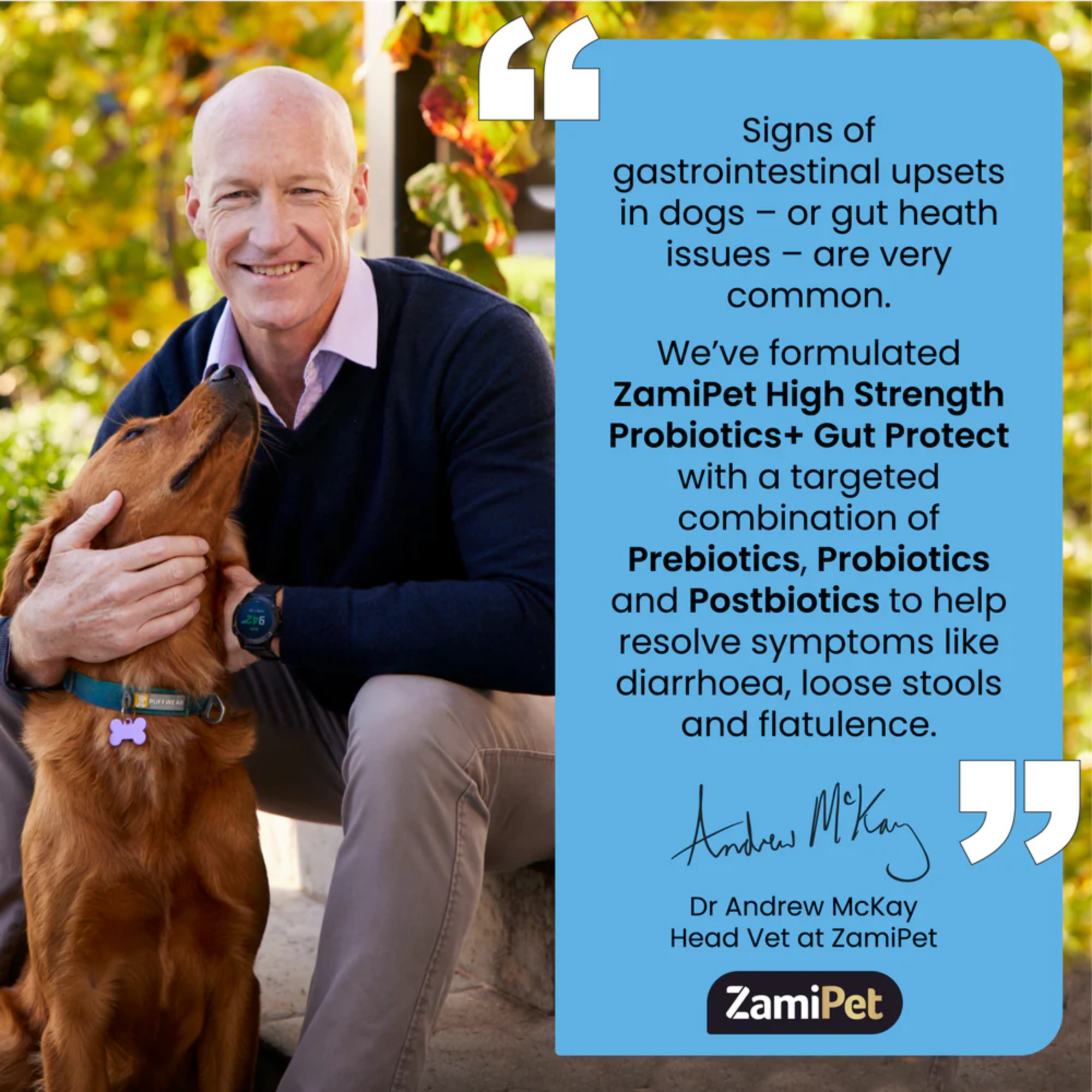 ZamiPet High Strength Probiotics Gut Protect for Dogs 1.2g x 60 Sachets