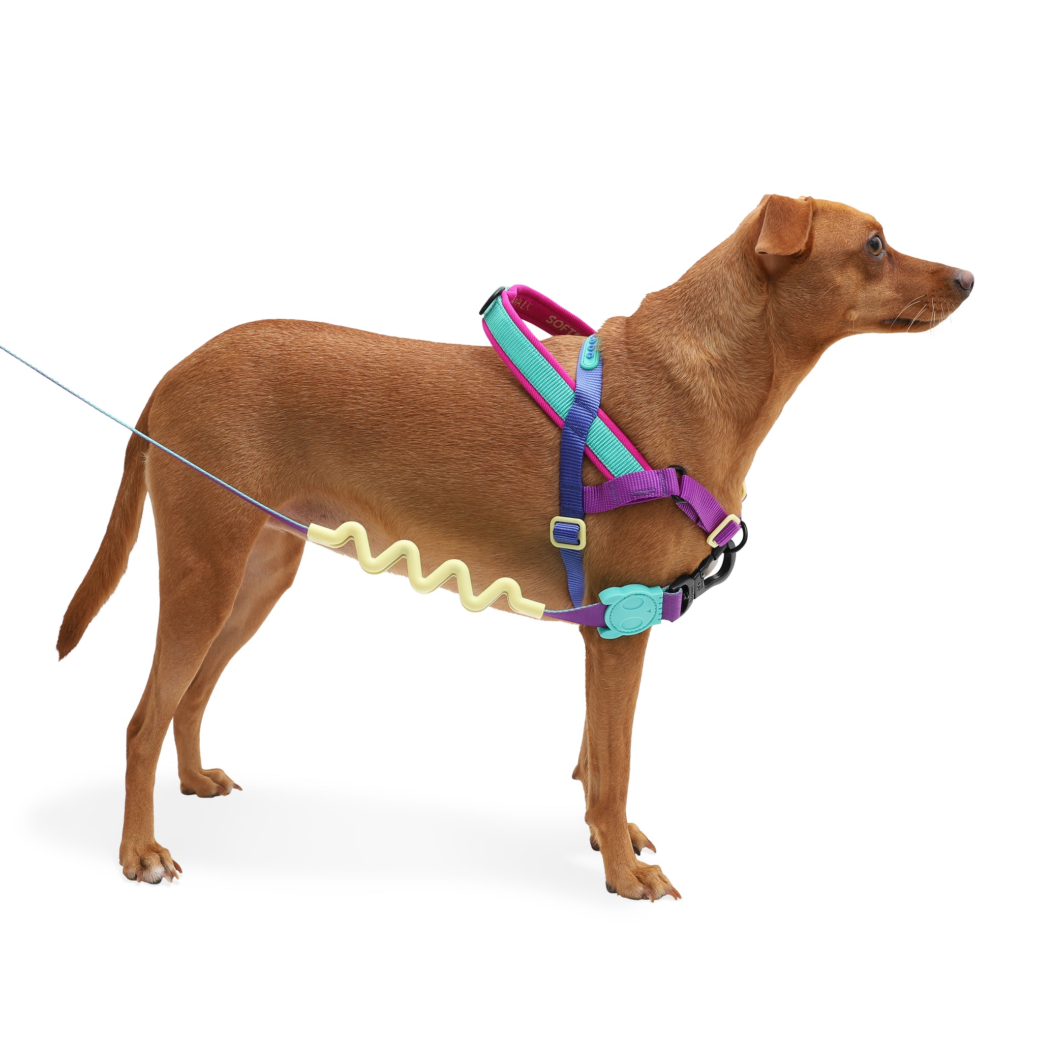 Zee Dog Shockwave SofterWalk Dog Harness