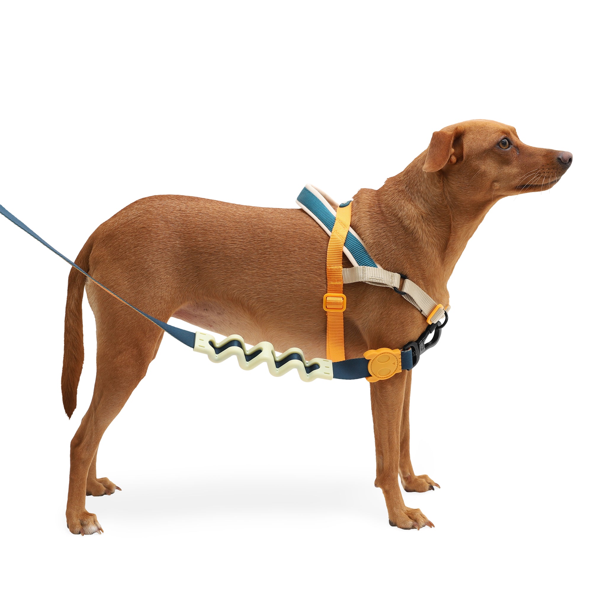Zee Dog Voyage SofterWalk Dog Harness