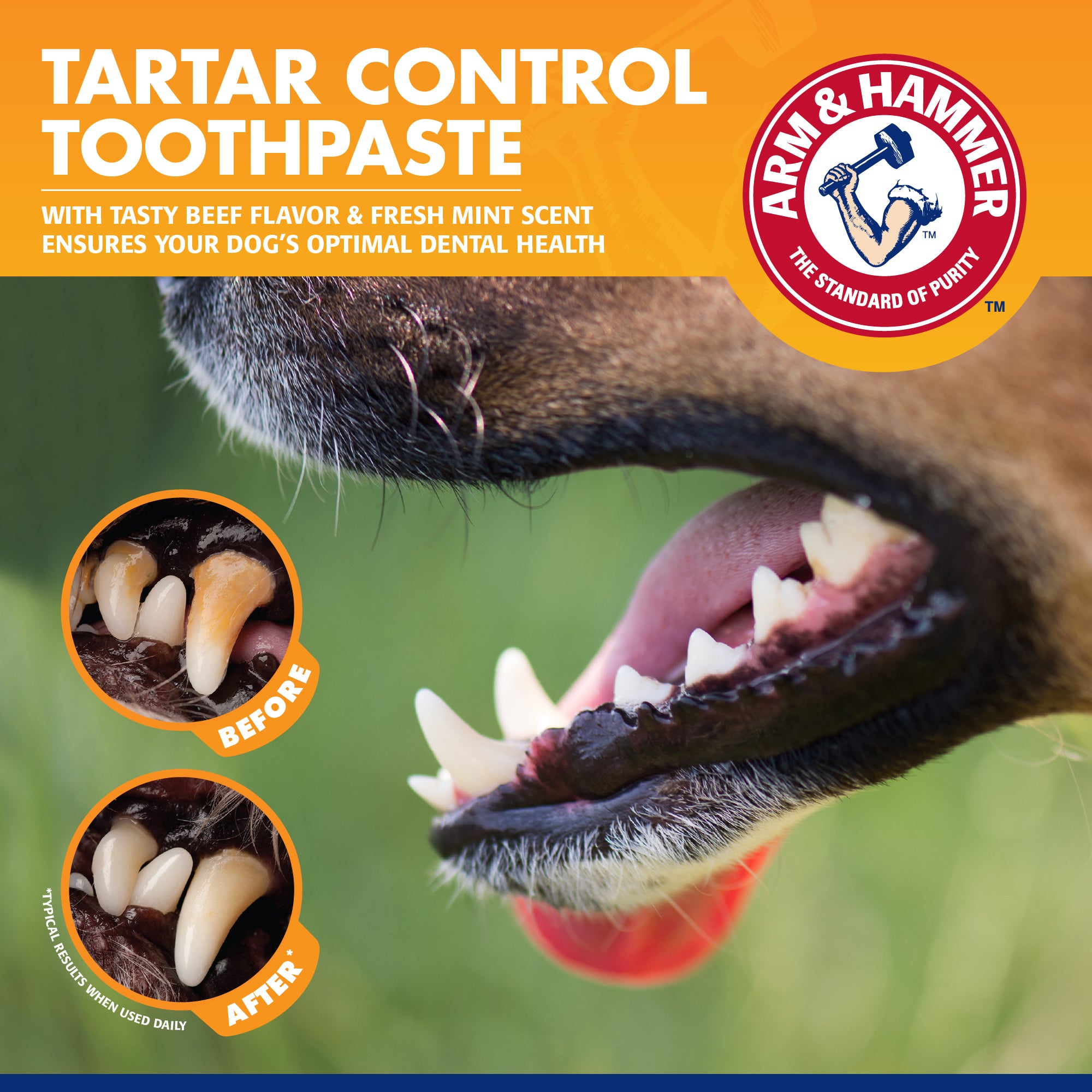 Arm and Hammer Tartar Control Dental Kit for Dogs Beef