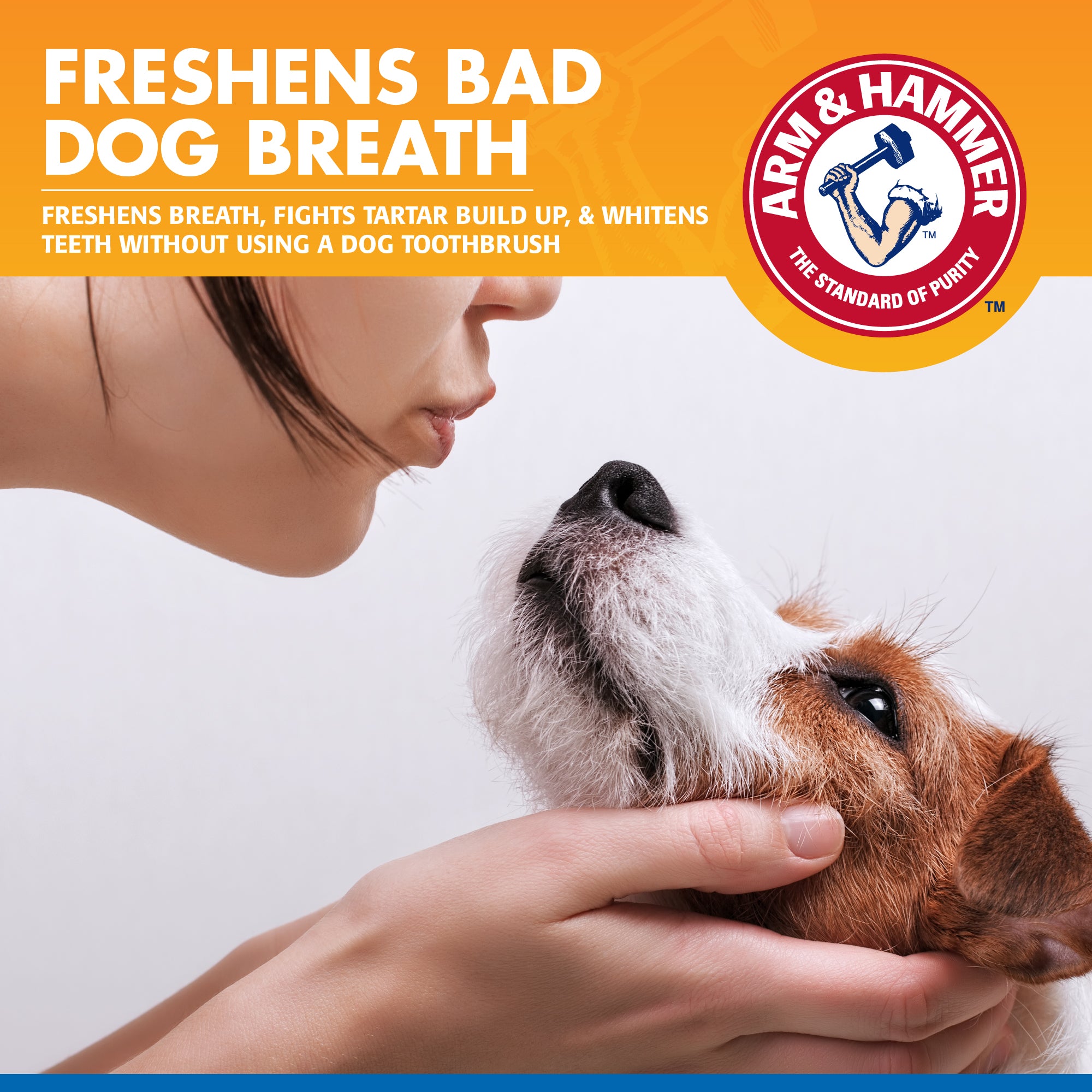 Arm and hammer dental spray for dogs best sale