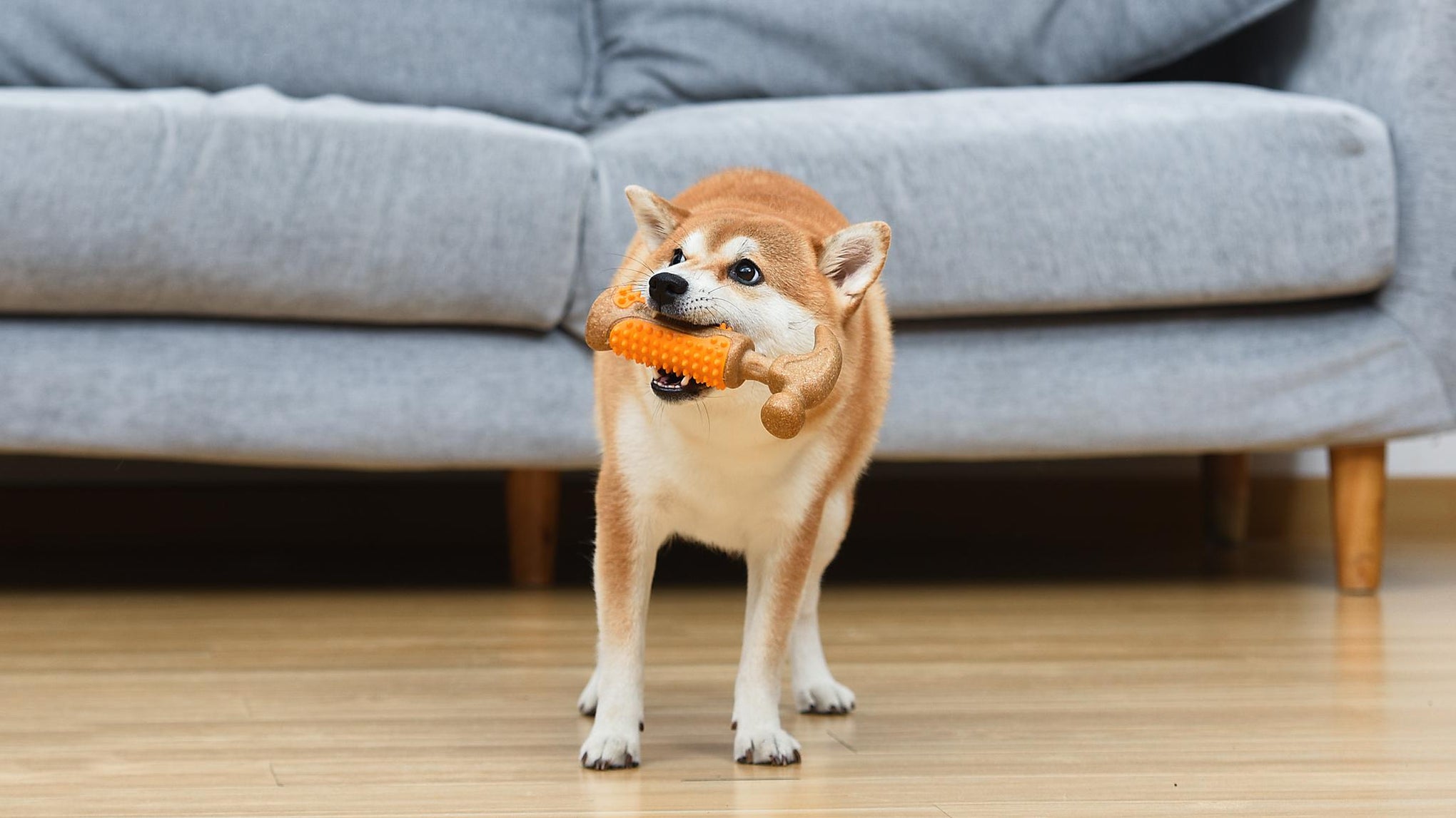 Arm and Hammer Wood Mix Hammer Dog Toy