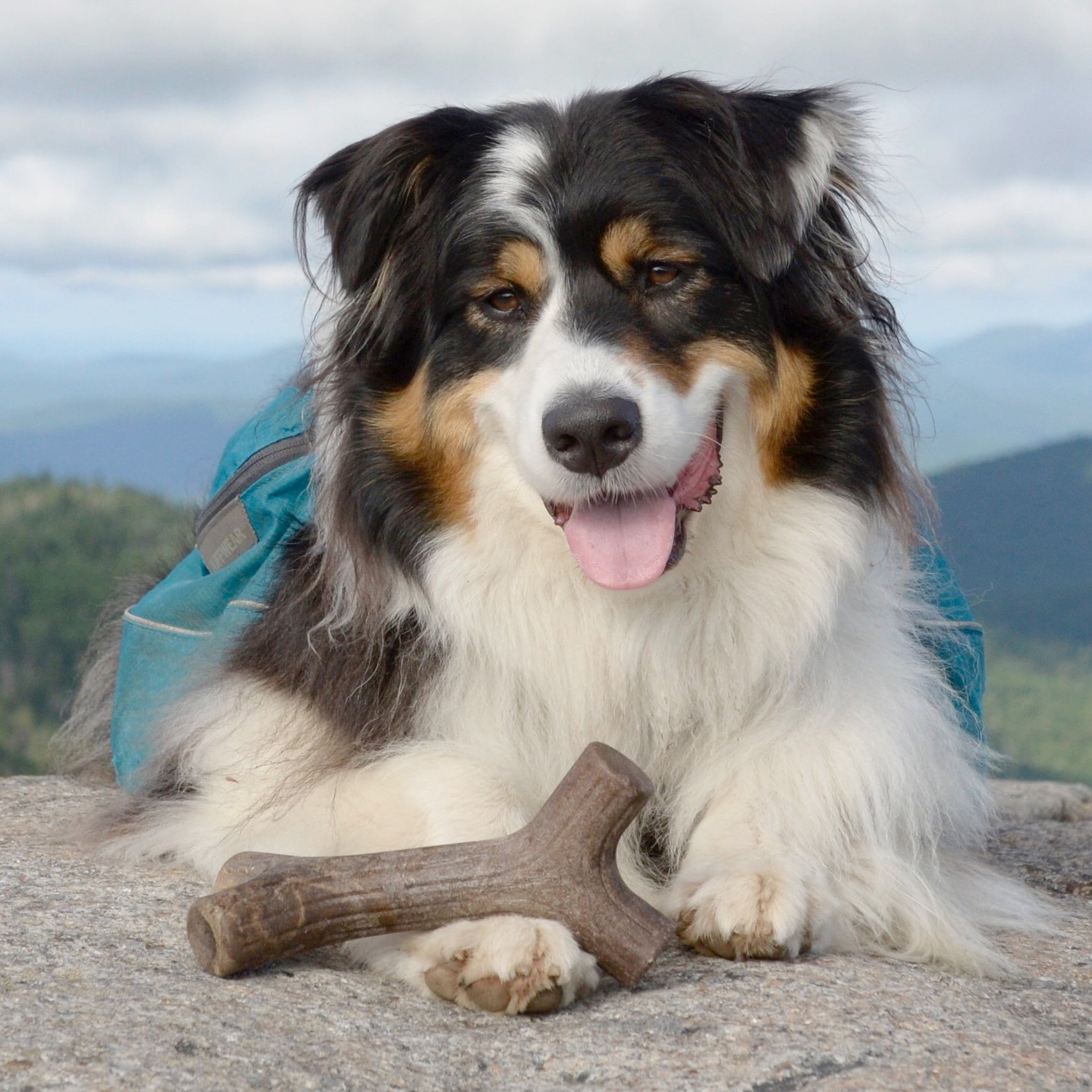 Benebone Maplestick Dog Toy