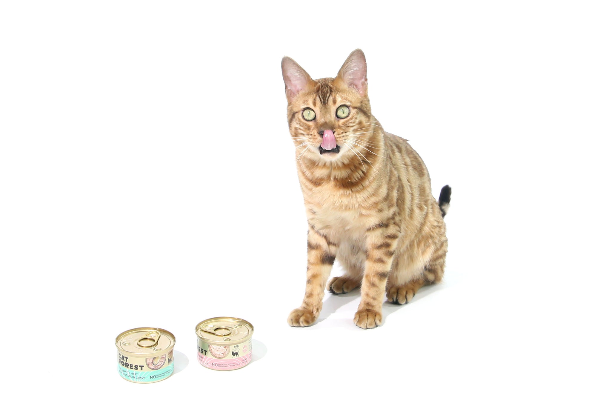 CAT FOREST Tuna White Meat with Chicken in Jelly Cat Wet Food 85g x 24