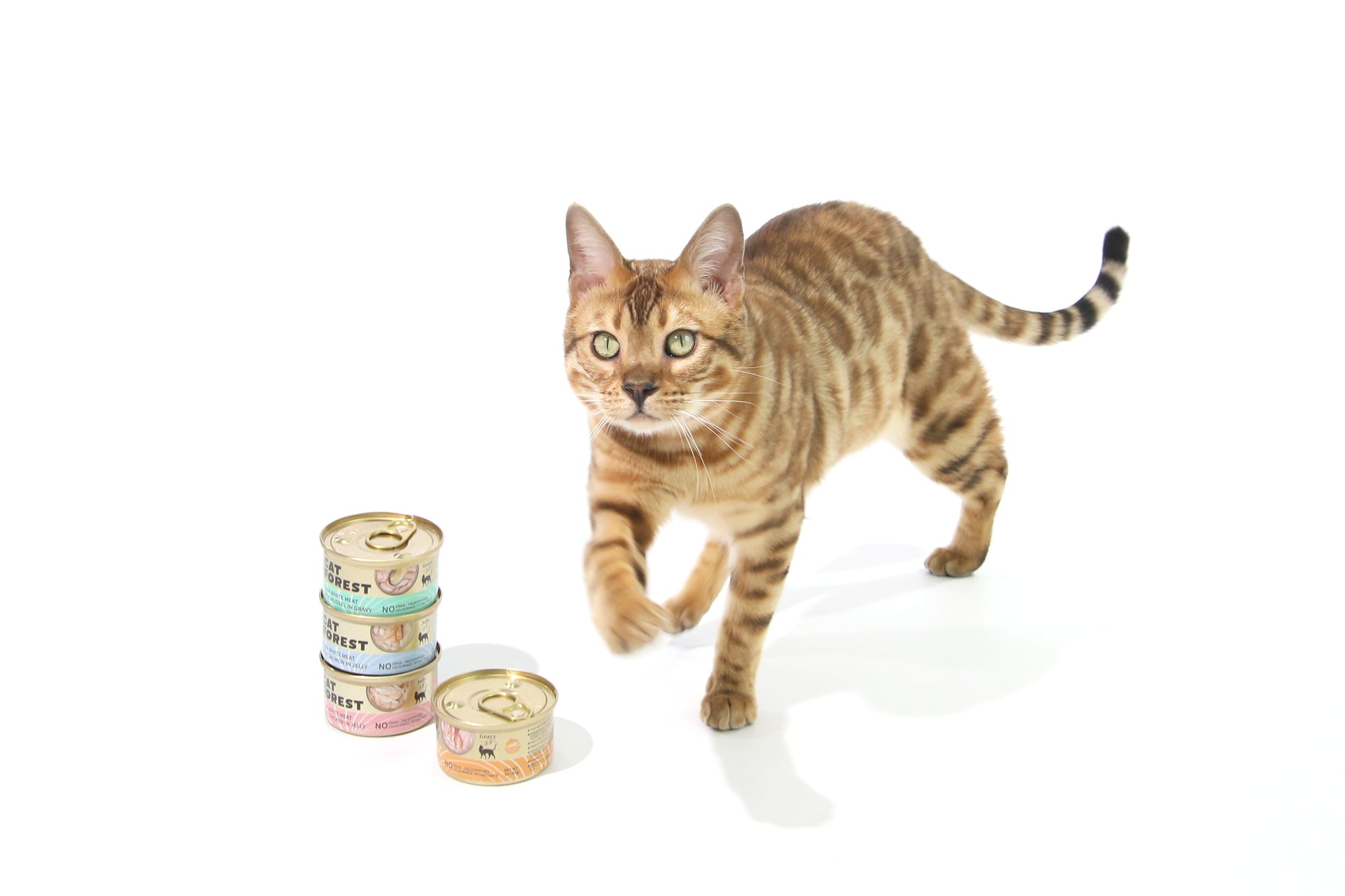 CAT FOREST Tuna White Meat with Shrimp in Gravy Cat Wet Food 85g x 24