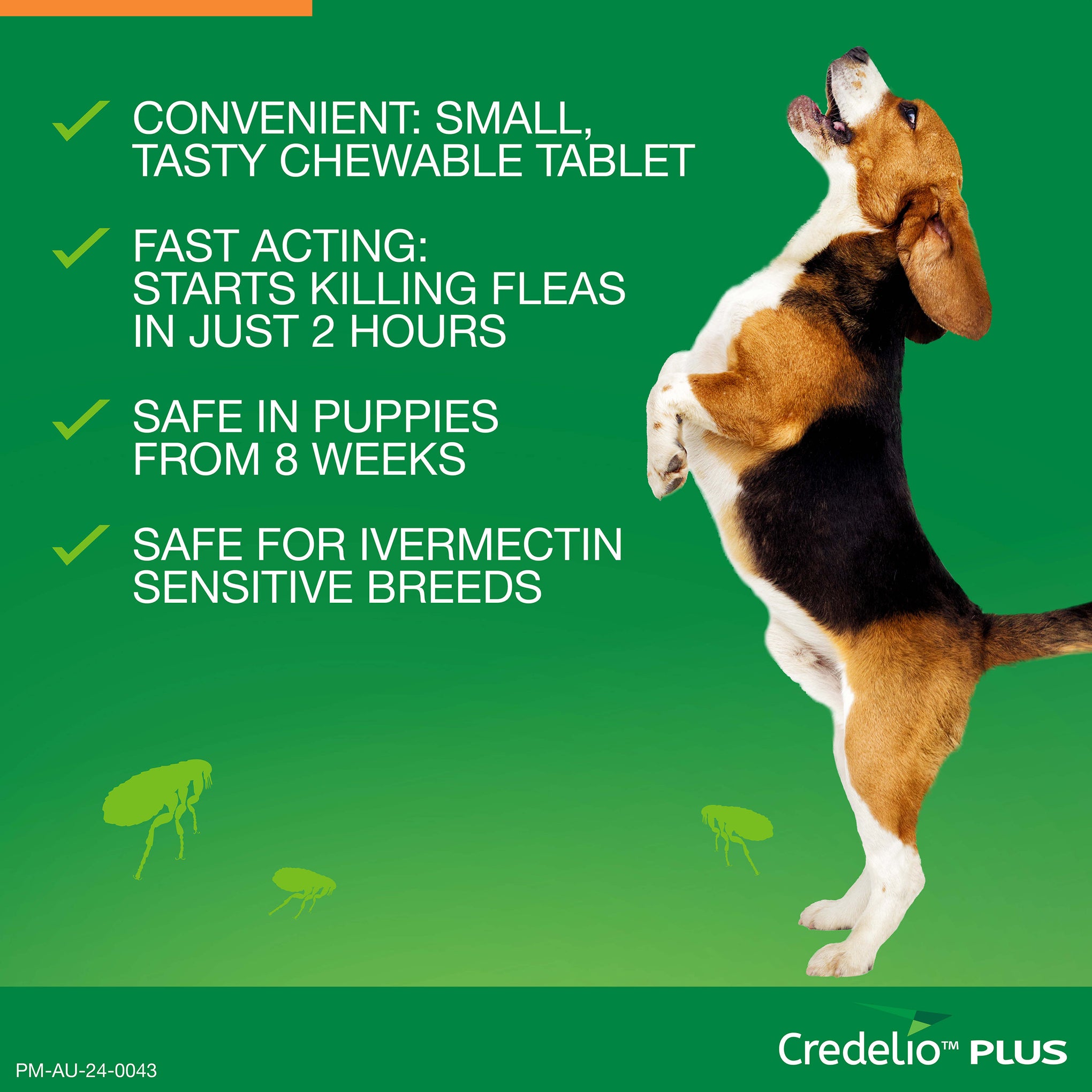 Credelio Plus Medium Dog Chews 5.5-11kg (Orange)