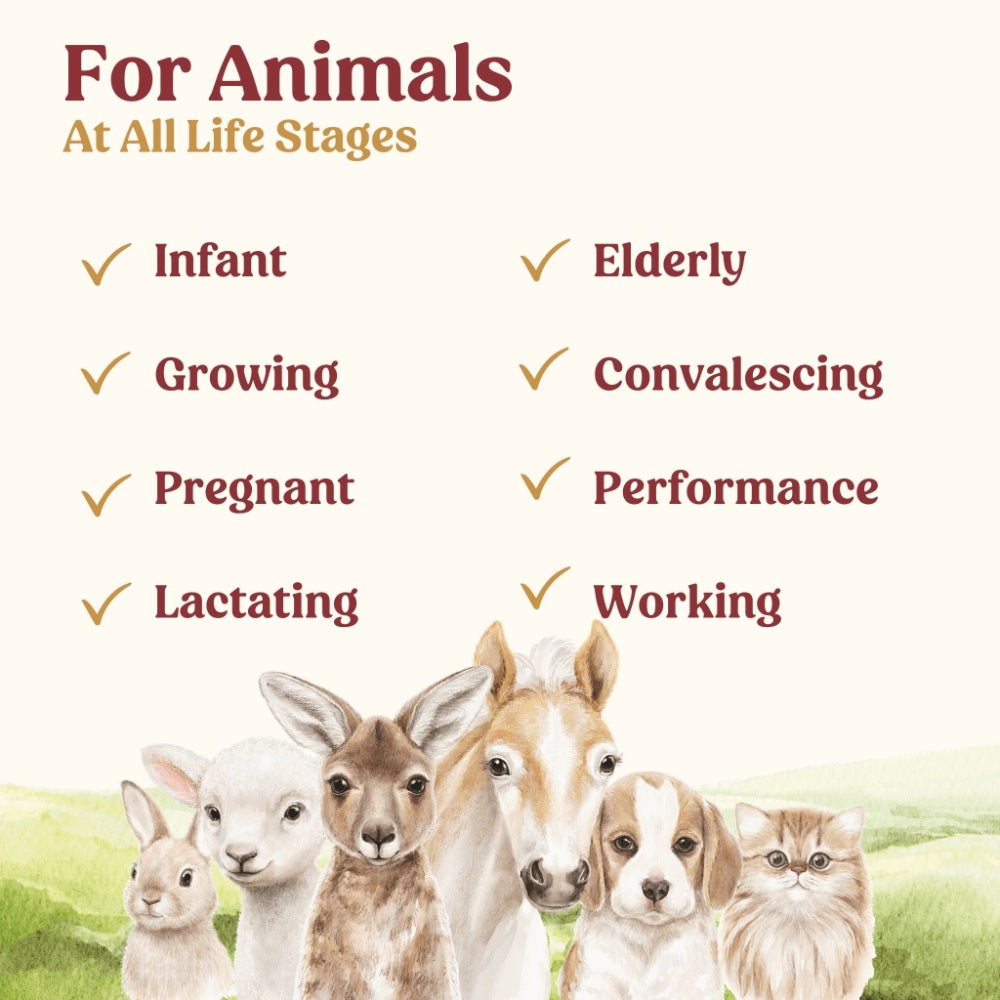 Di-Vetelact Milk Supplement for Animals