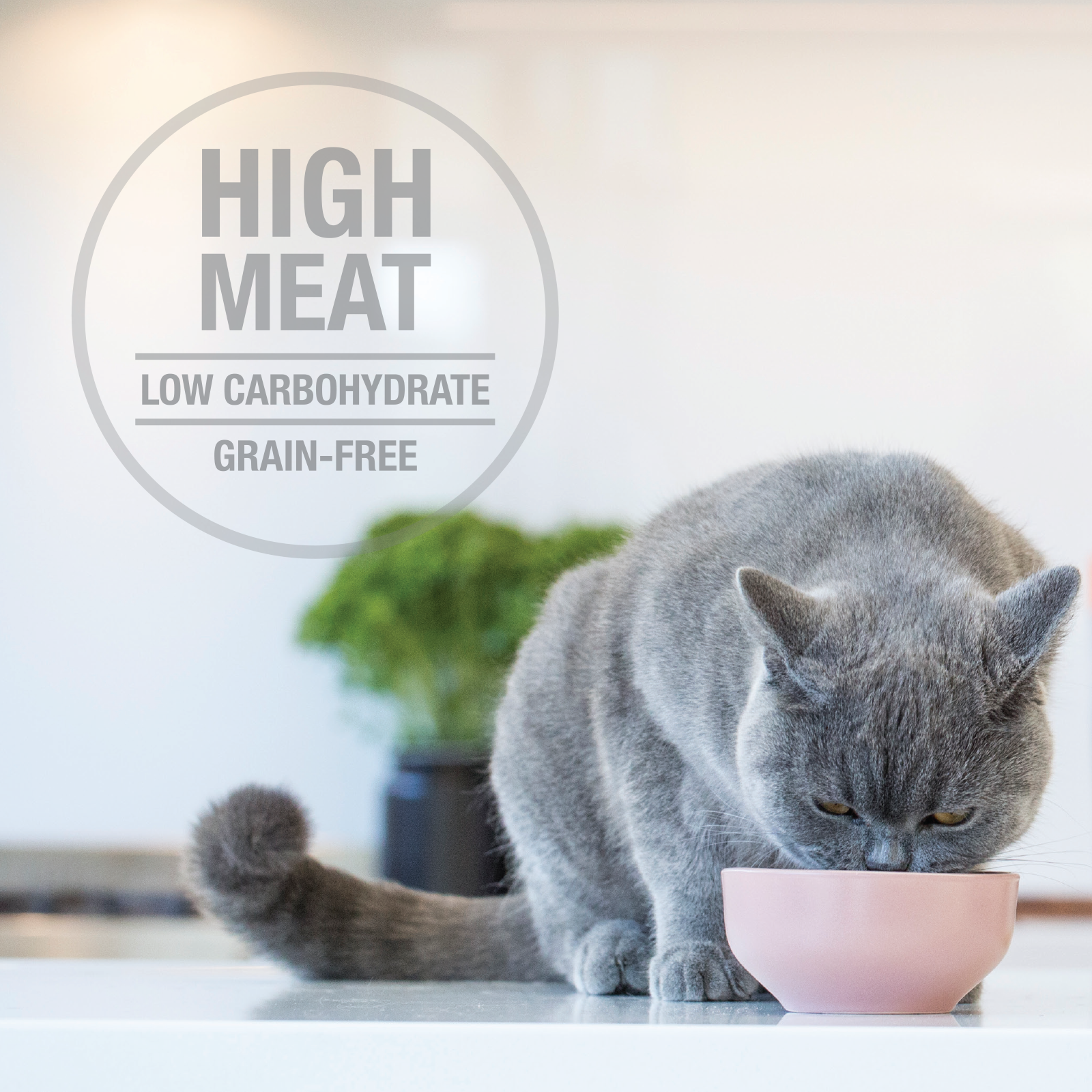 Feline Natural Grain Free Chicken & Lamb Feast Single Pouch 85g