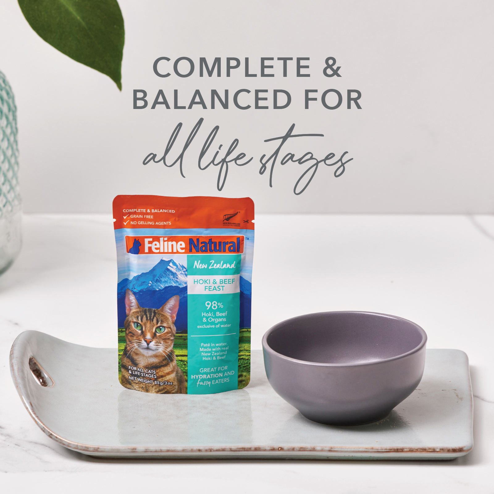Feline Natural Grain Free Pouches Hoki & Beef Feast 85g x 24