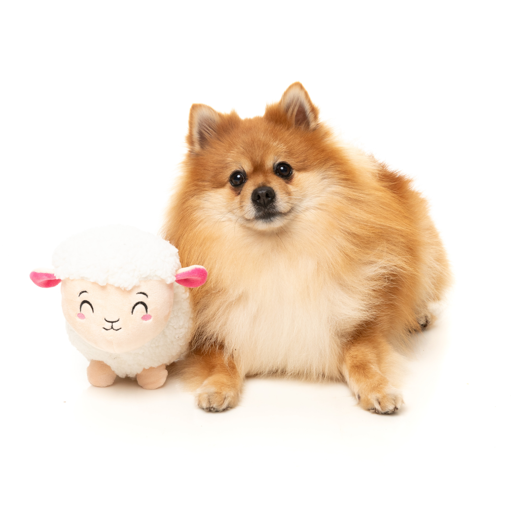 FuzzYard Bahh-bara Dog Toy