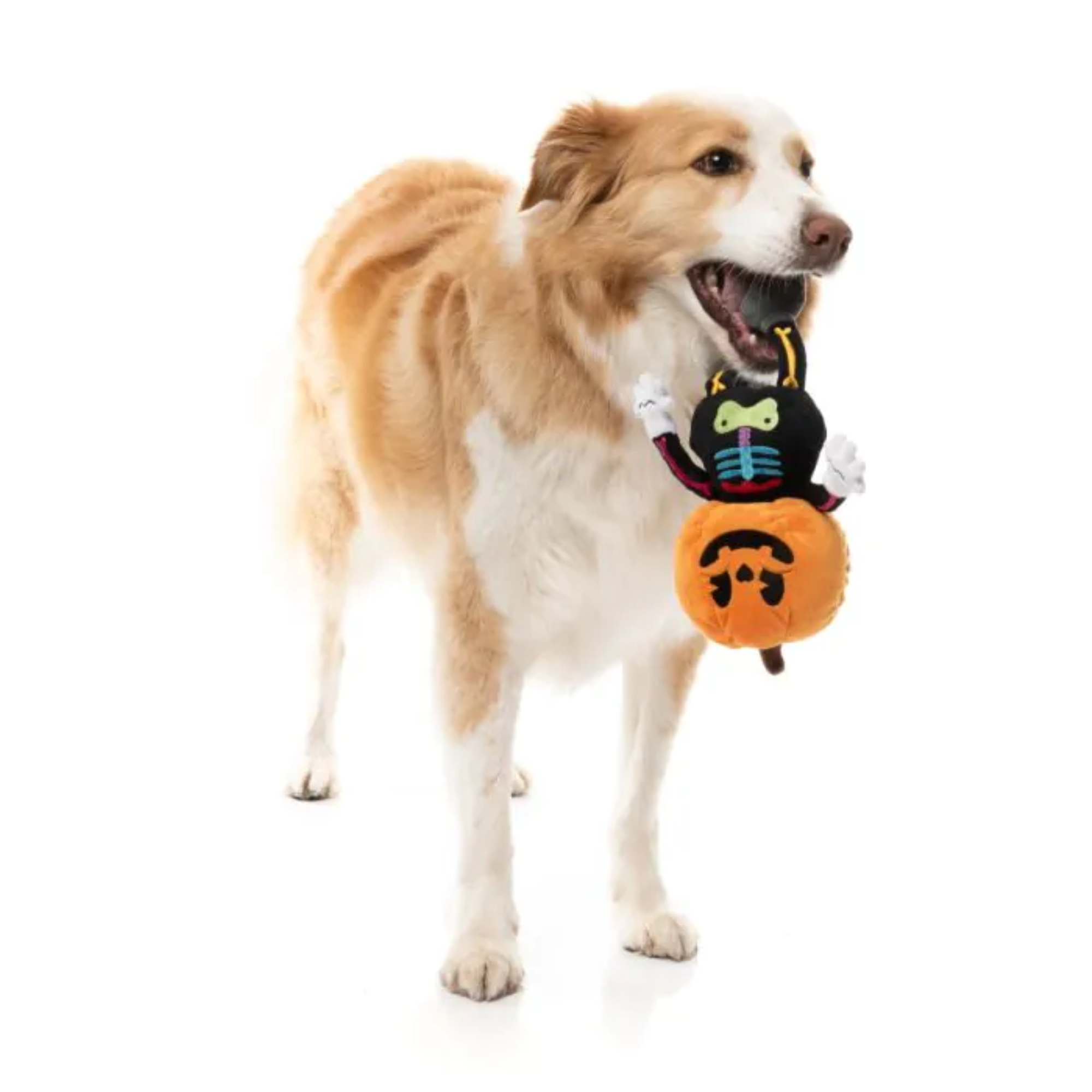 FuzzYard Boo-Ternut Dog Toy