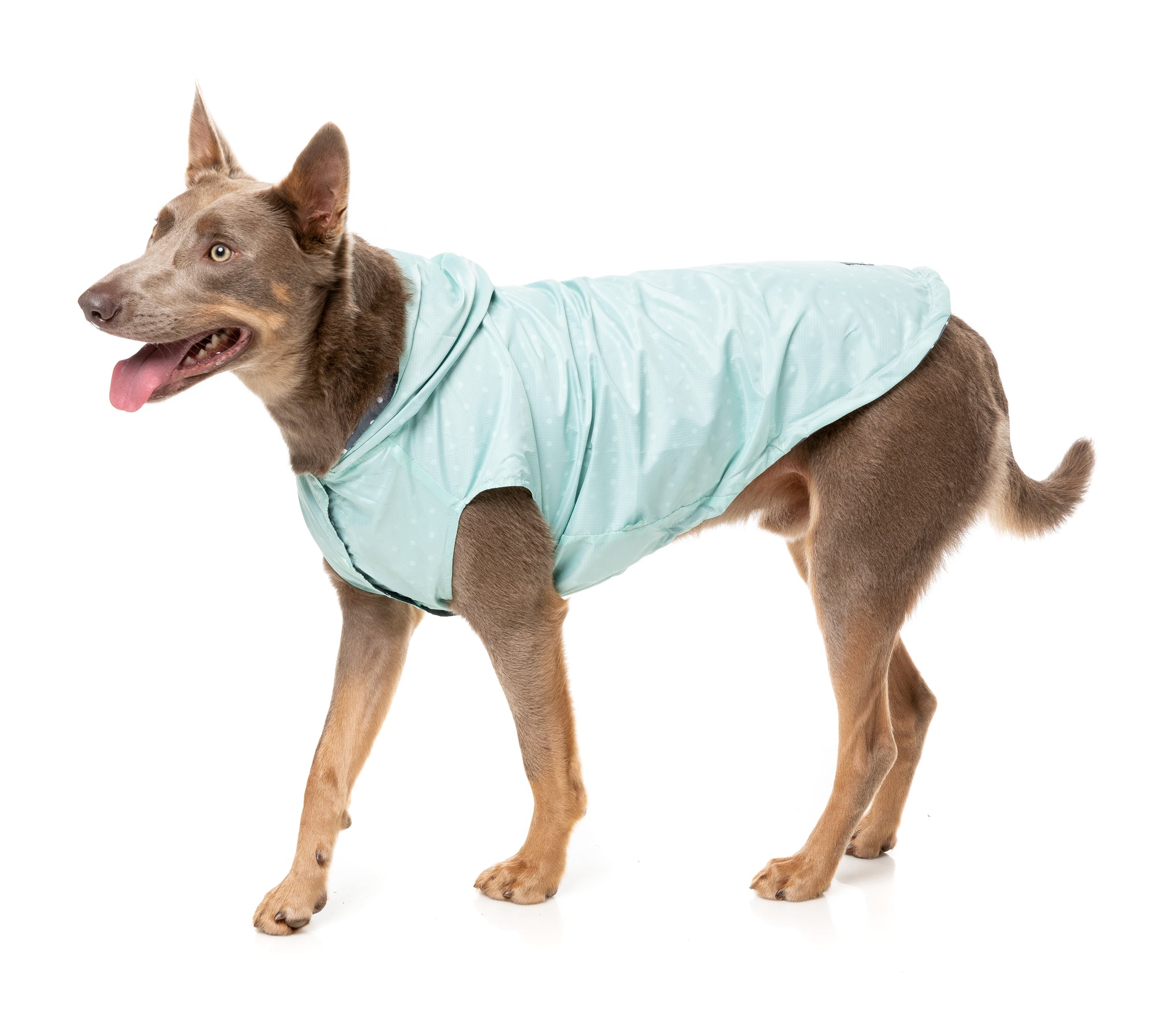 FuzzYard Flipside Dog Raincoat Mint