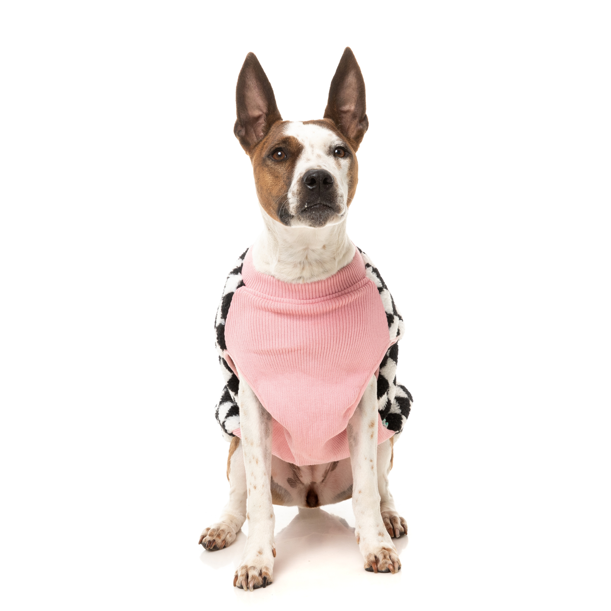 FuzzYard Ollie Dog Jacket Pink