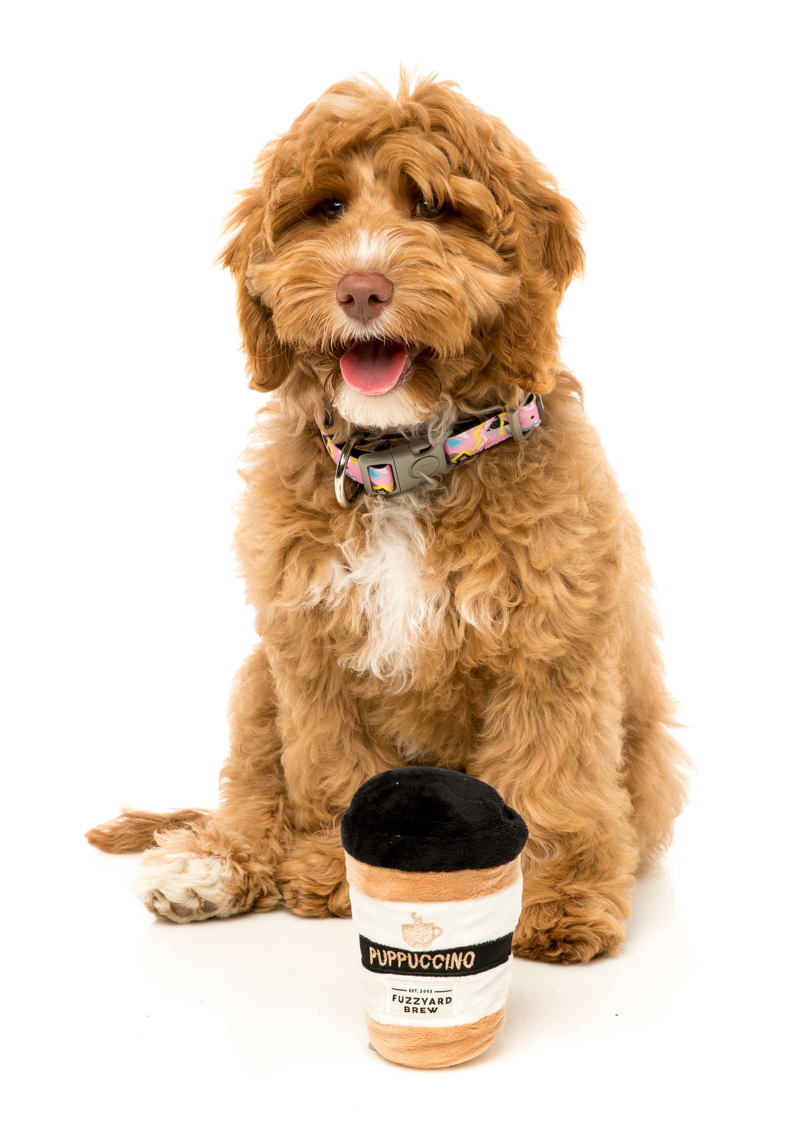 Puppuccino dog toy hotsell