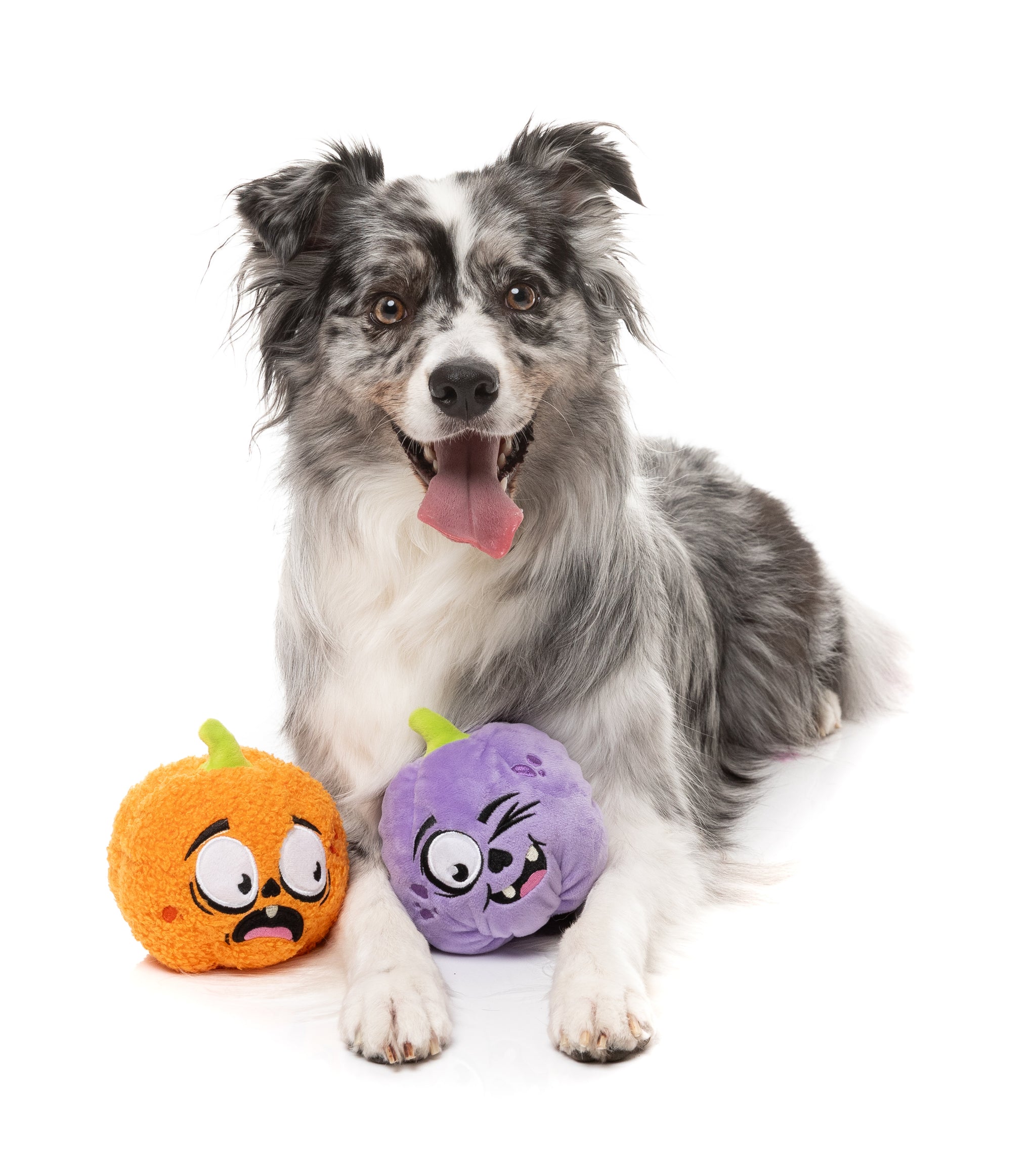 FuzzYard Trick Or Treat Duo Dog Toy 2 Pack