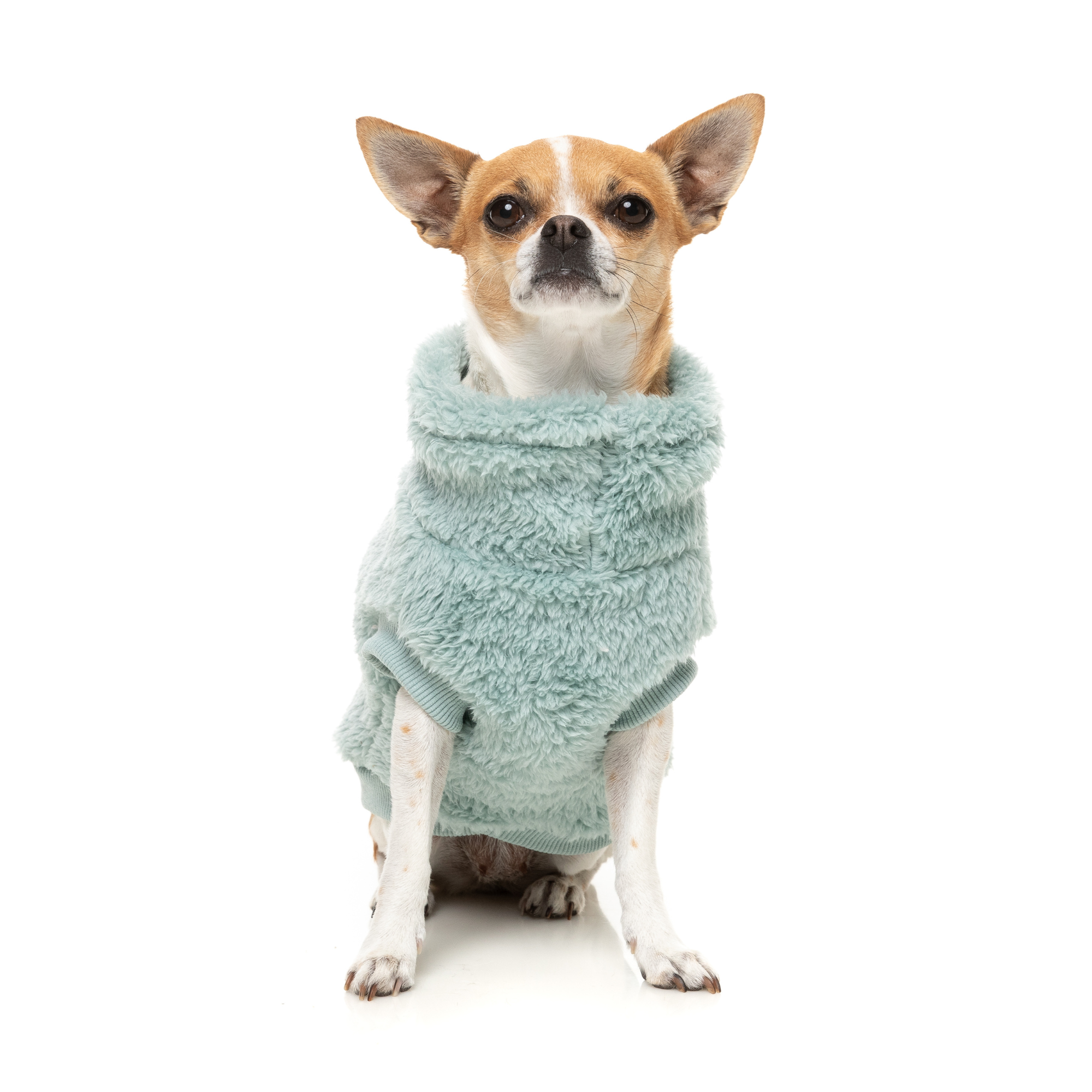 FuzzYard Turtle Teddy Dog Sweater Arctic Blue