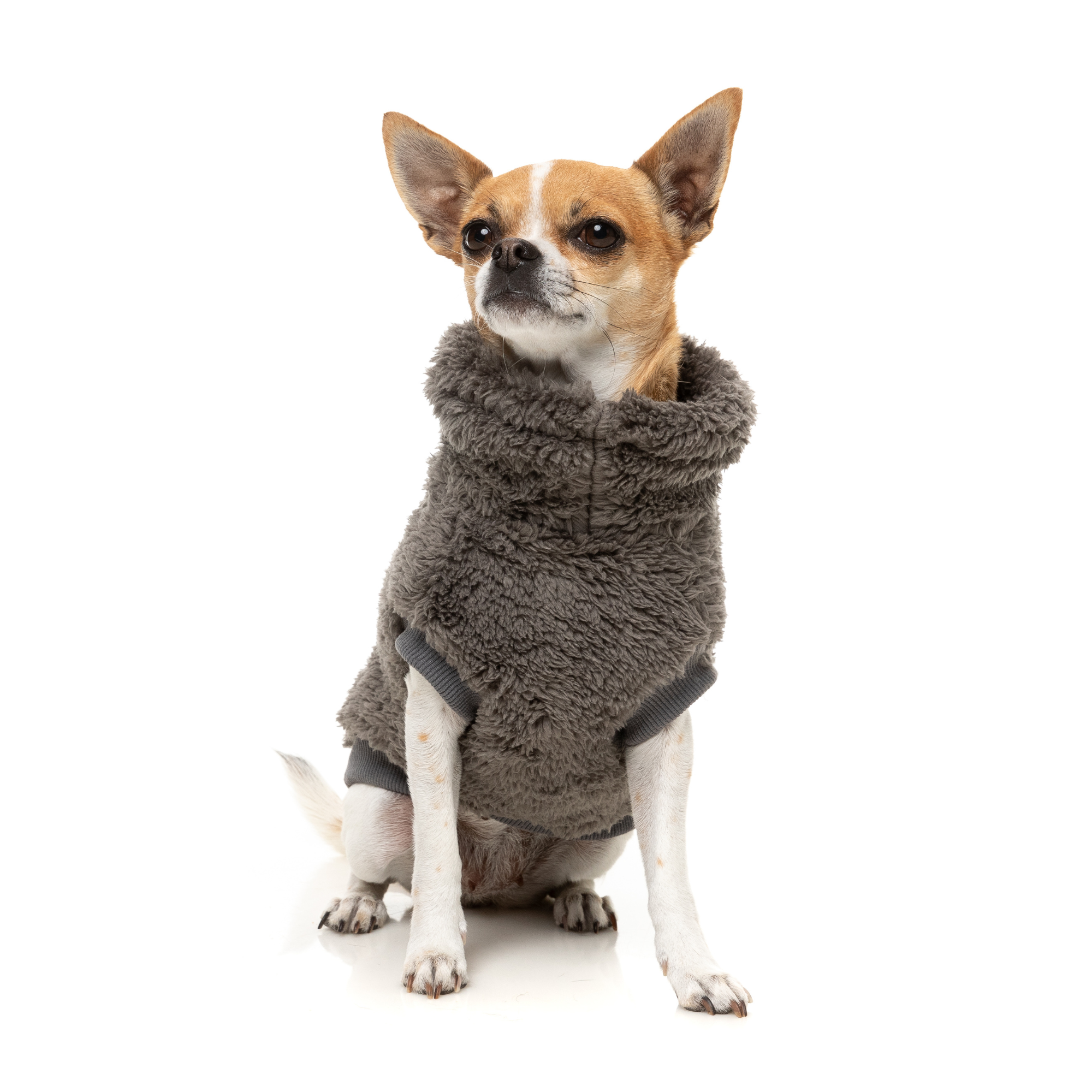 FuzzYard Turtle Teddy Dog Sweater Gunmetal Grey