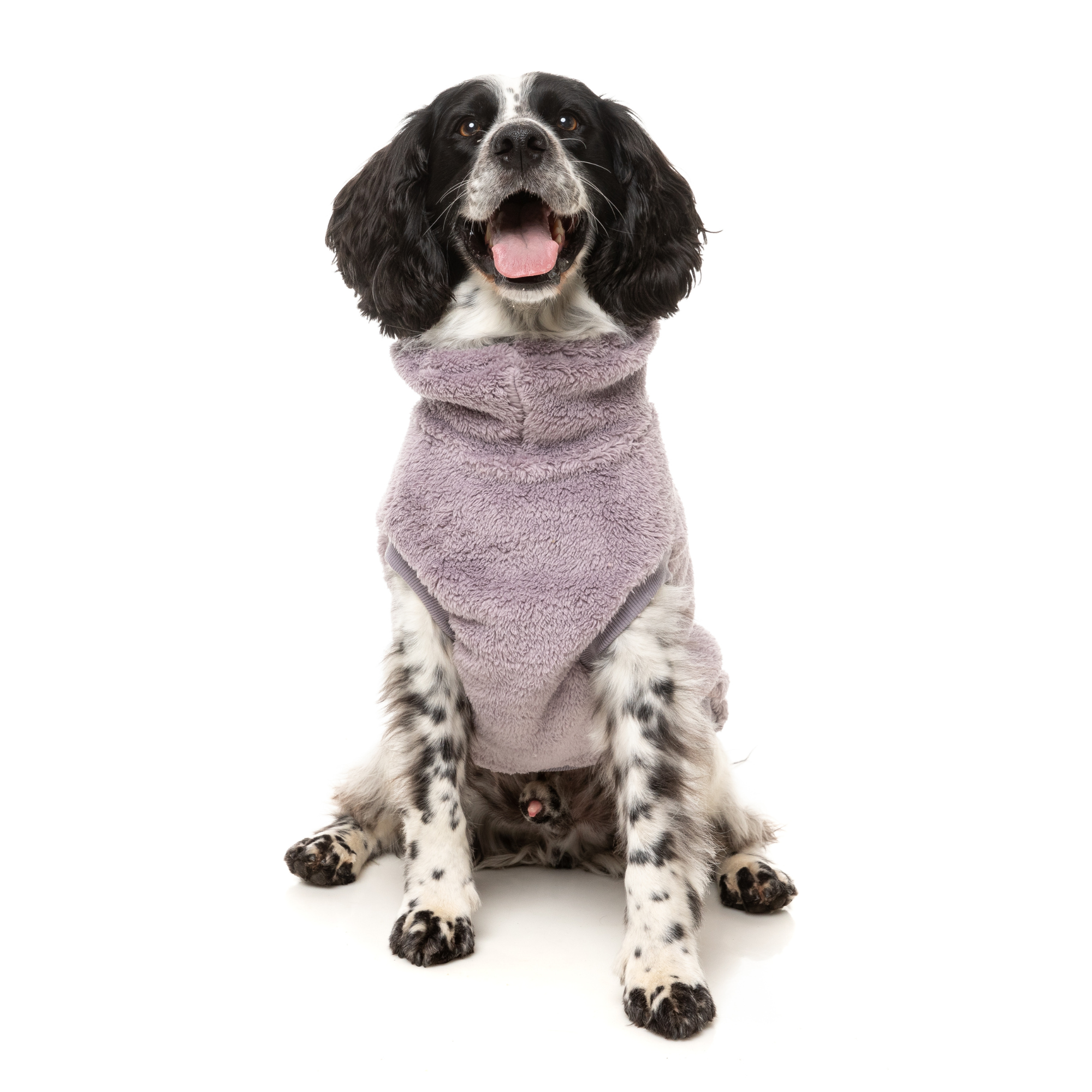 FuzzYard Turtle Teddy Dog Sweater Lavender