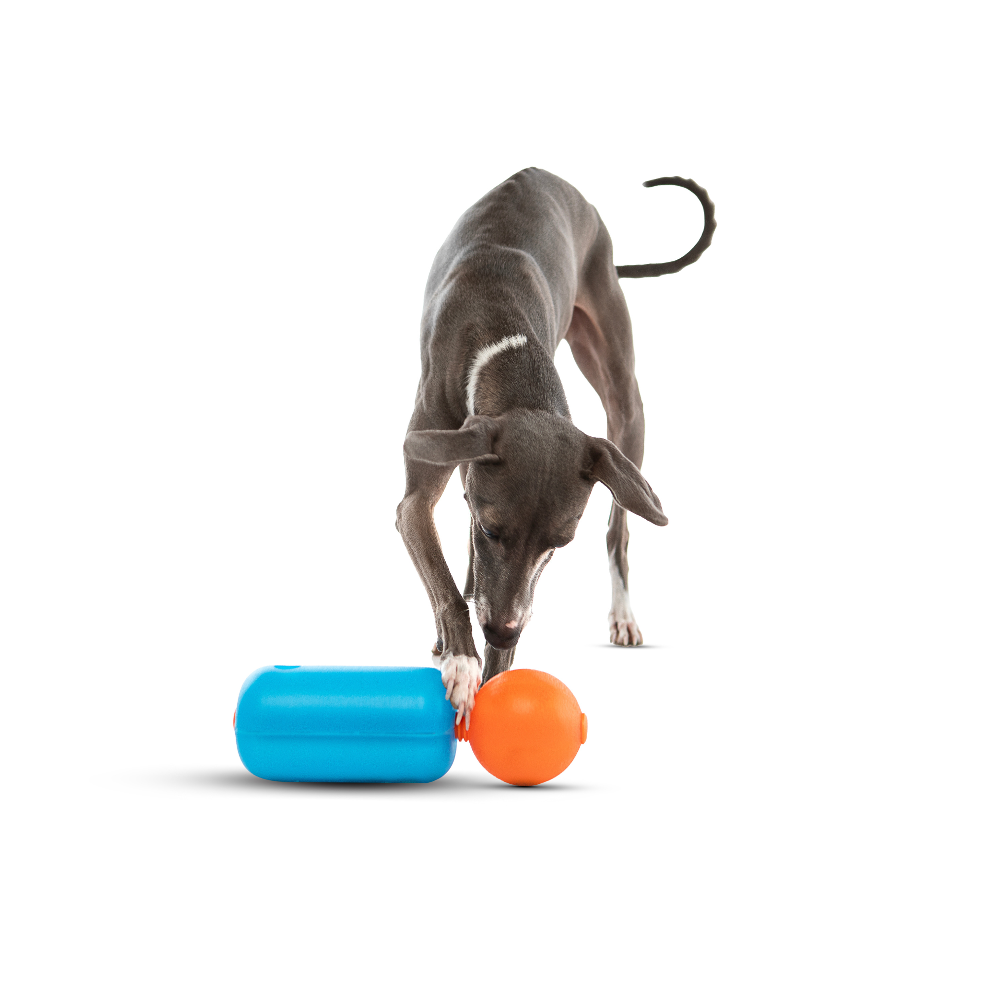 GURU Treat Challenger Dog Toy Medium