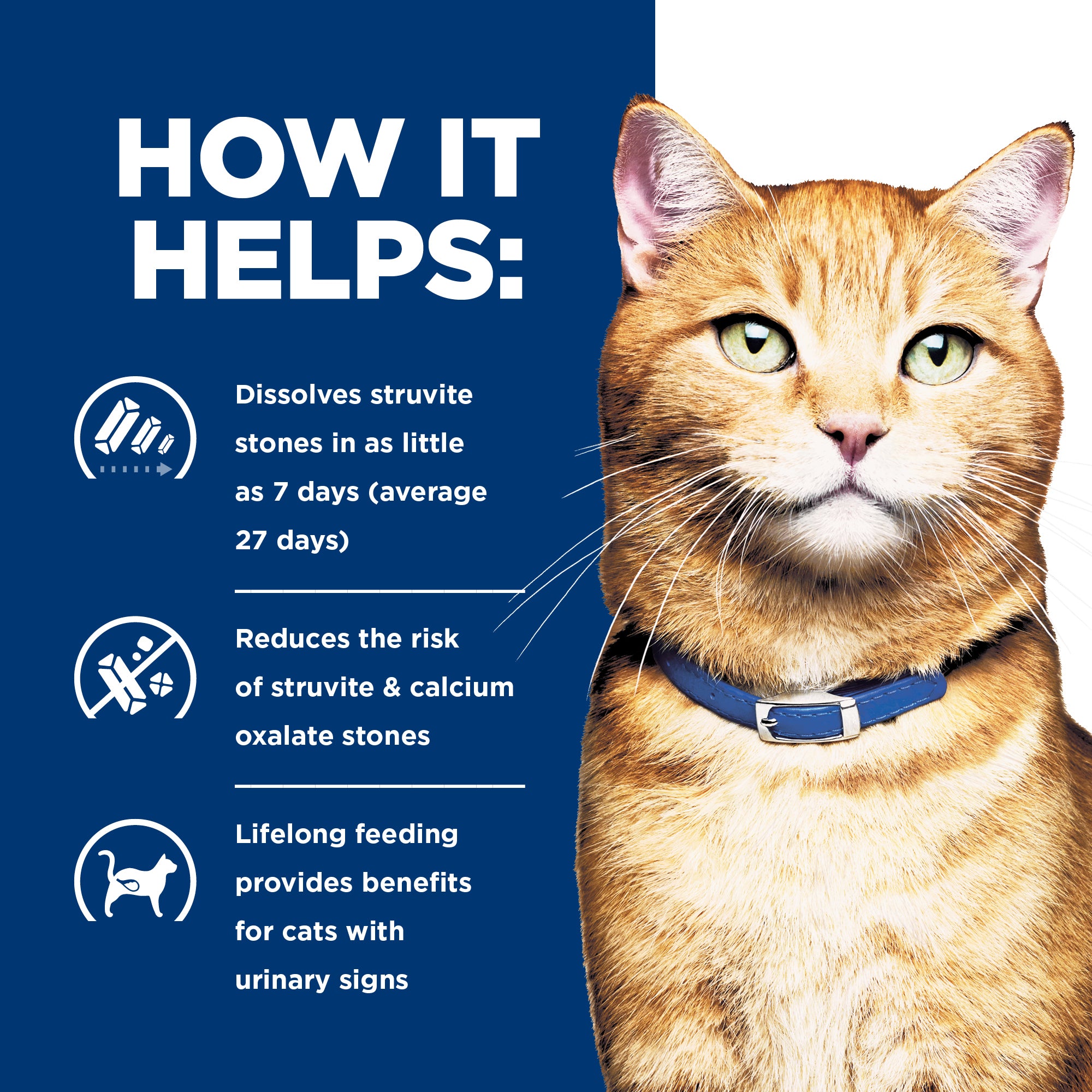Hill's Prescription Diet c/d Multicare Urinary Care Chicken & Vegetable Stew Canned Cat Food 82g x 24