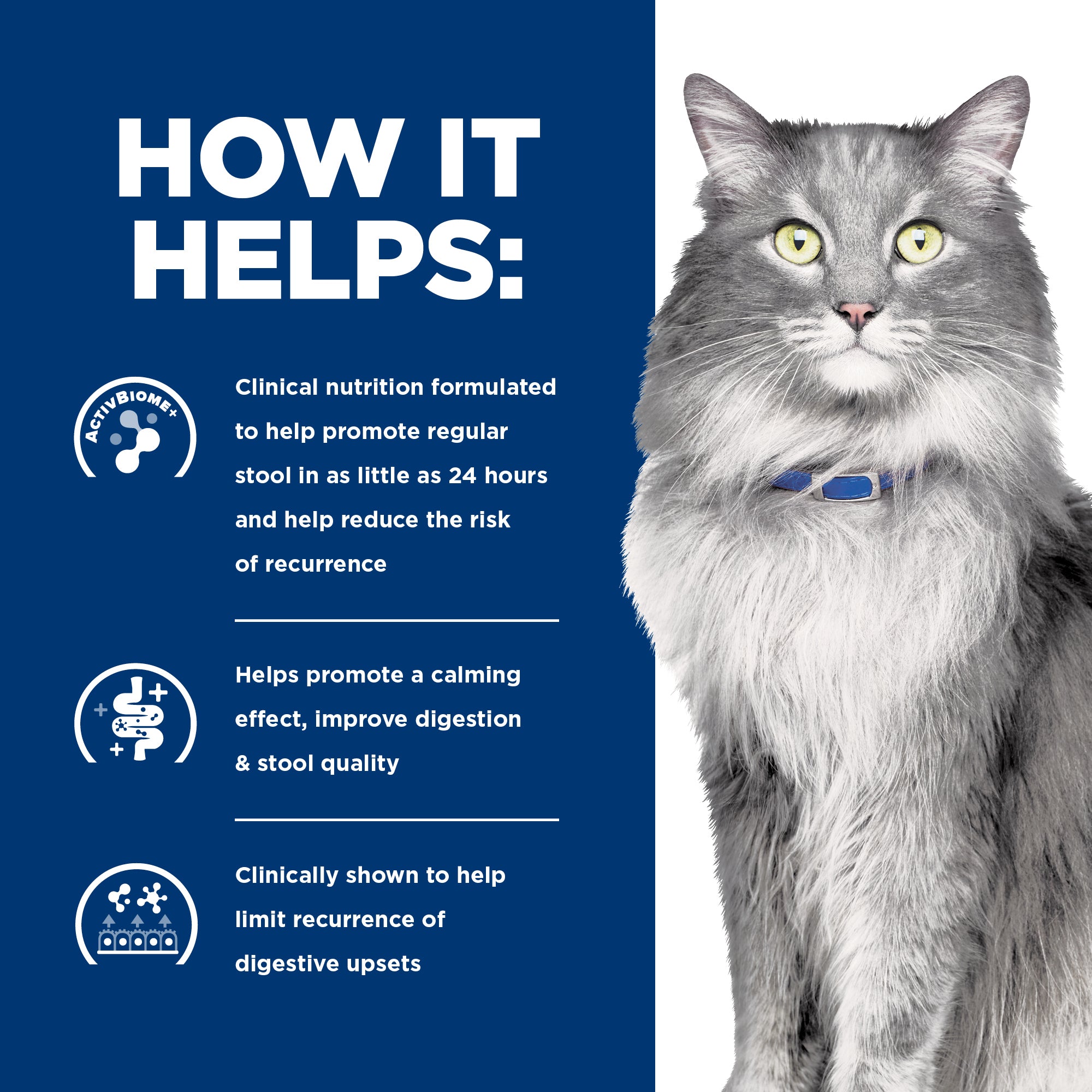 Hill's Prescription Diet Gastrointestinal Biome Stress Digestive/Fibre Care Dry Cat Food 1.8kg