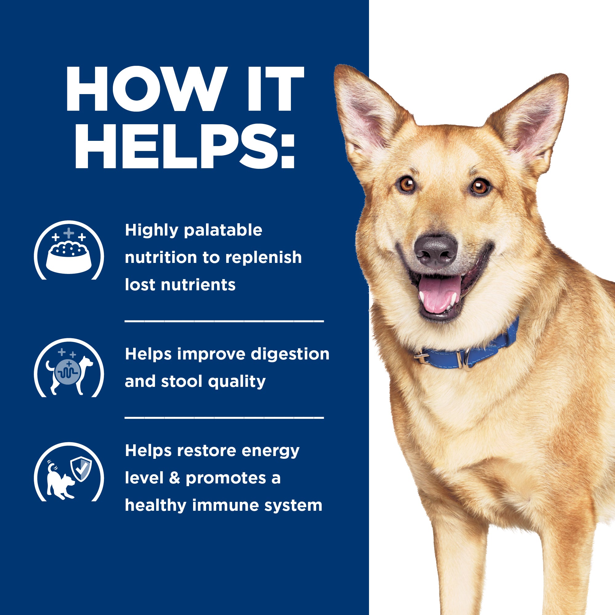 Hill's Prescription Diet i/d Digestive Care Chicken & Vegetable Stew Canned Dog Food 156g x 24