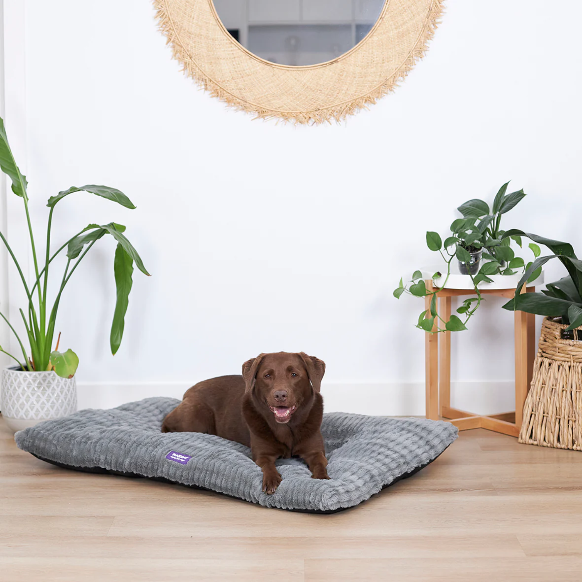 Kazoo Soft Dog Crate Cushion Storm Grey