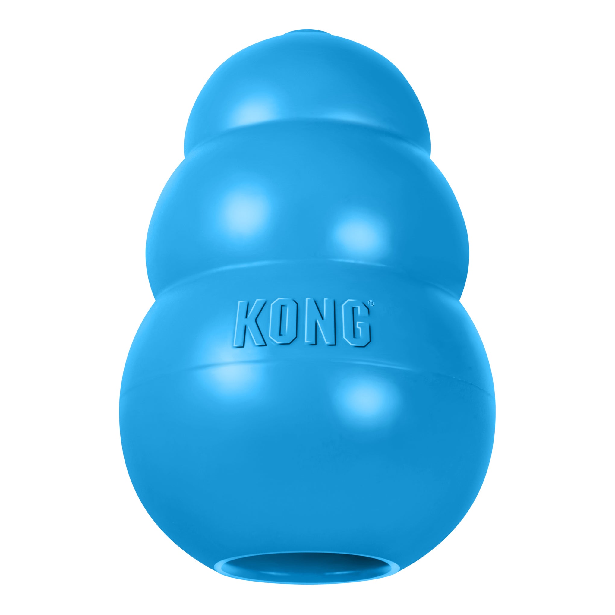 KONG Puppy Dog Toy