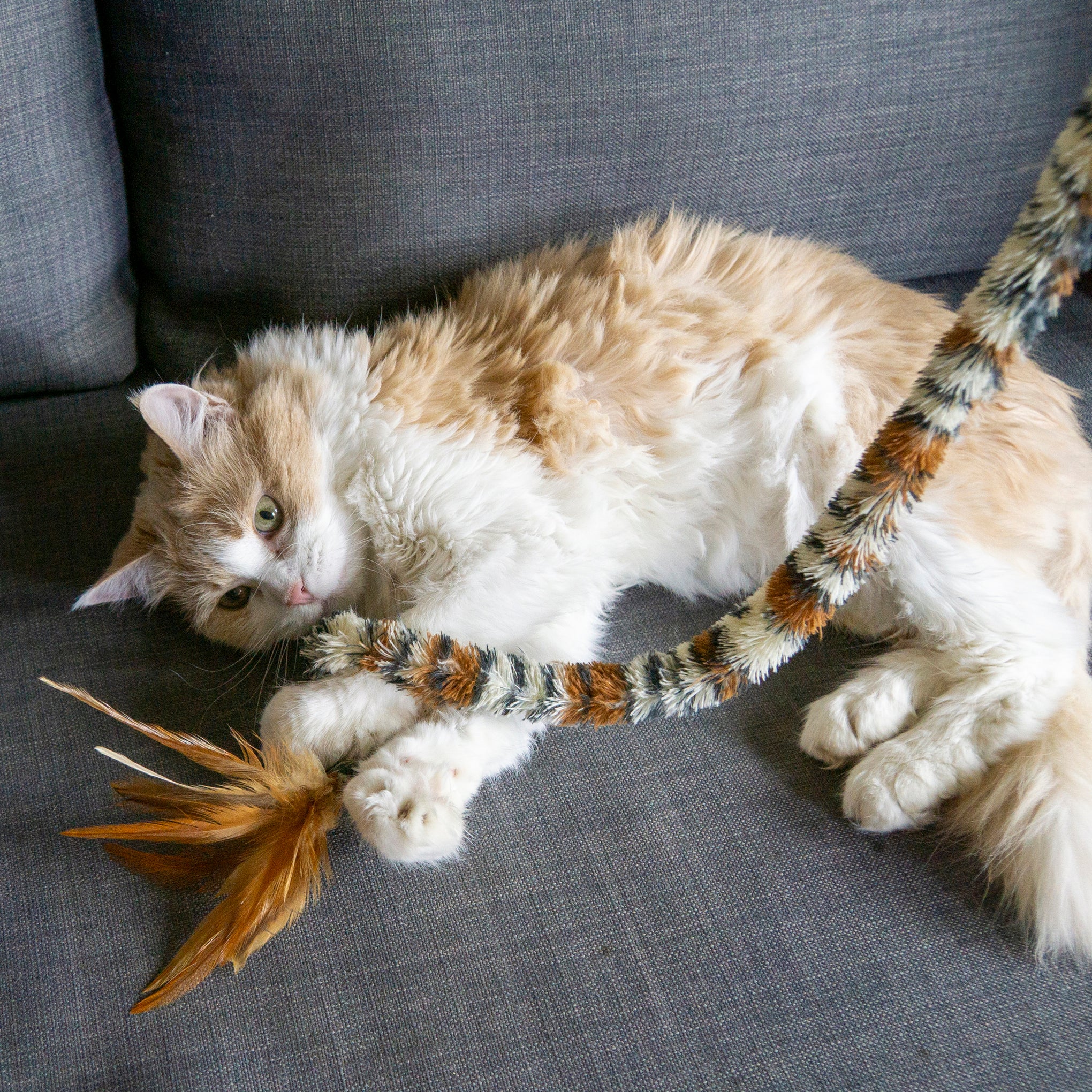 KONG Swizzle Bird Cat Toy