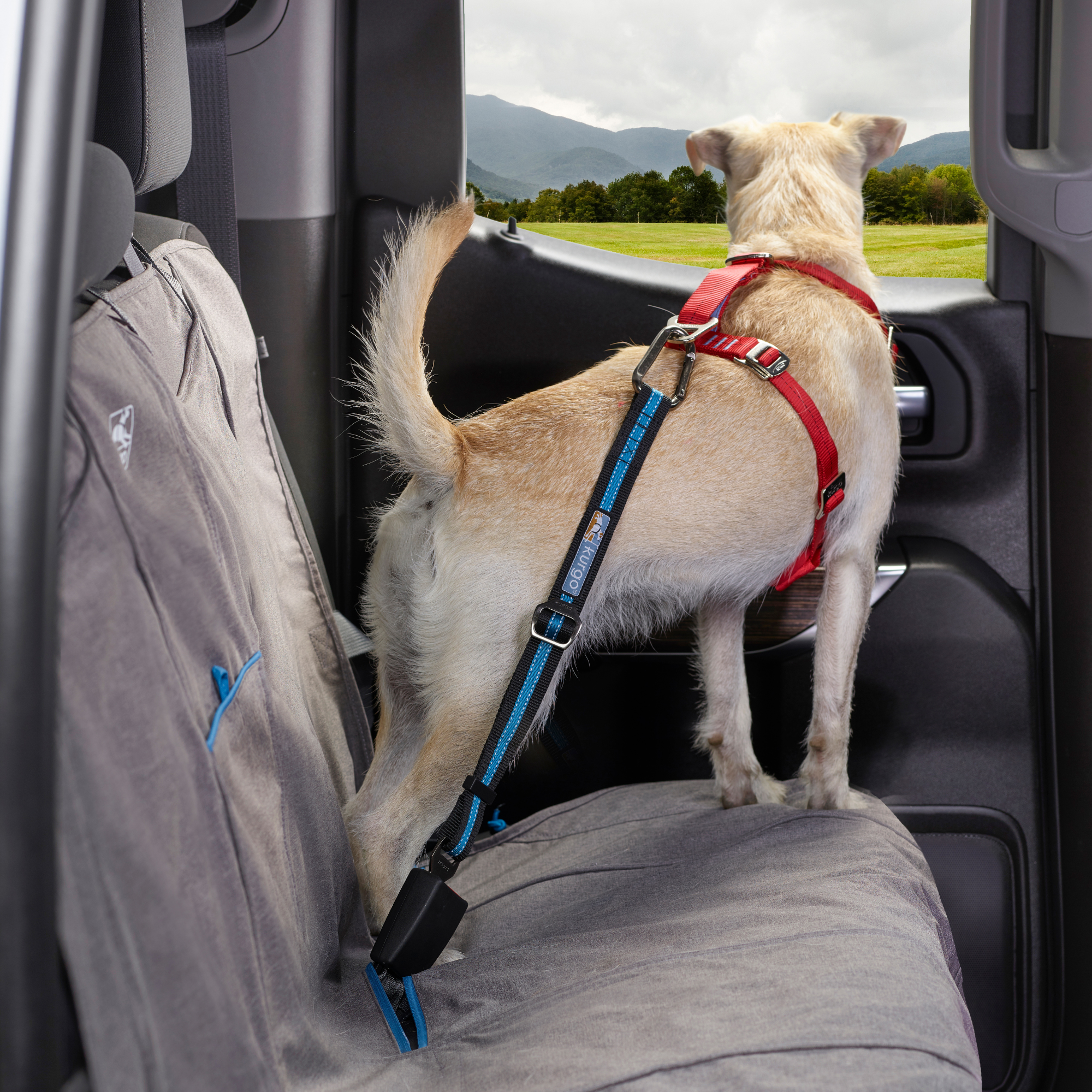 Kurgo Direct to Seat Belt Pet Tether