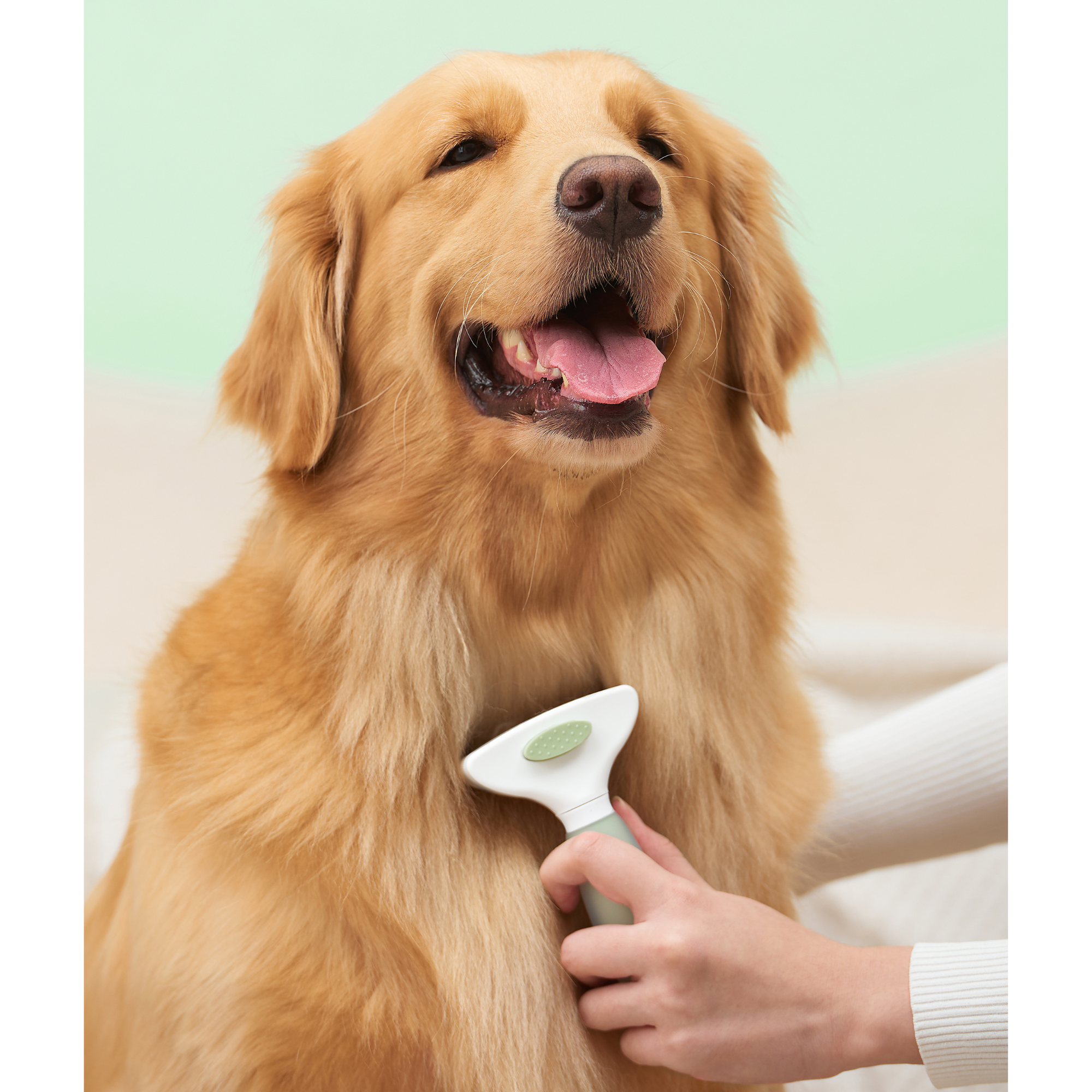 Michu Dog and Cat Undercoat Grooming Shedding Rake