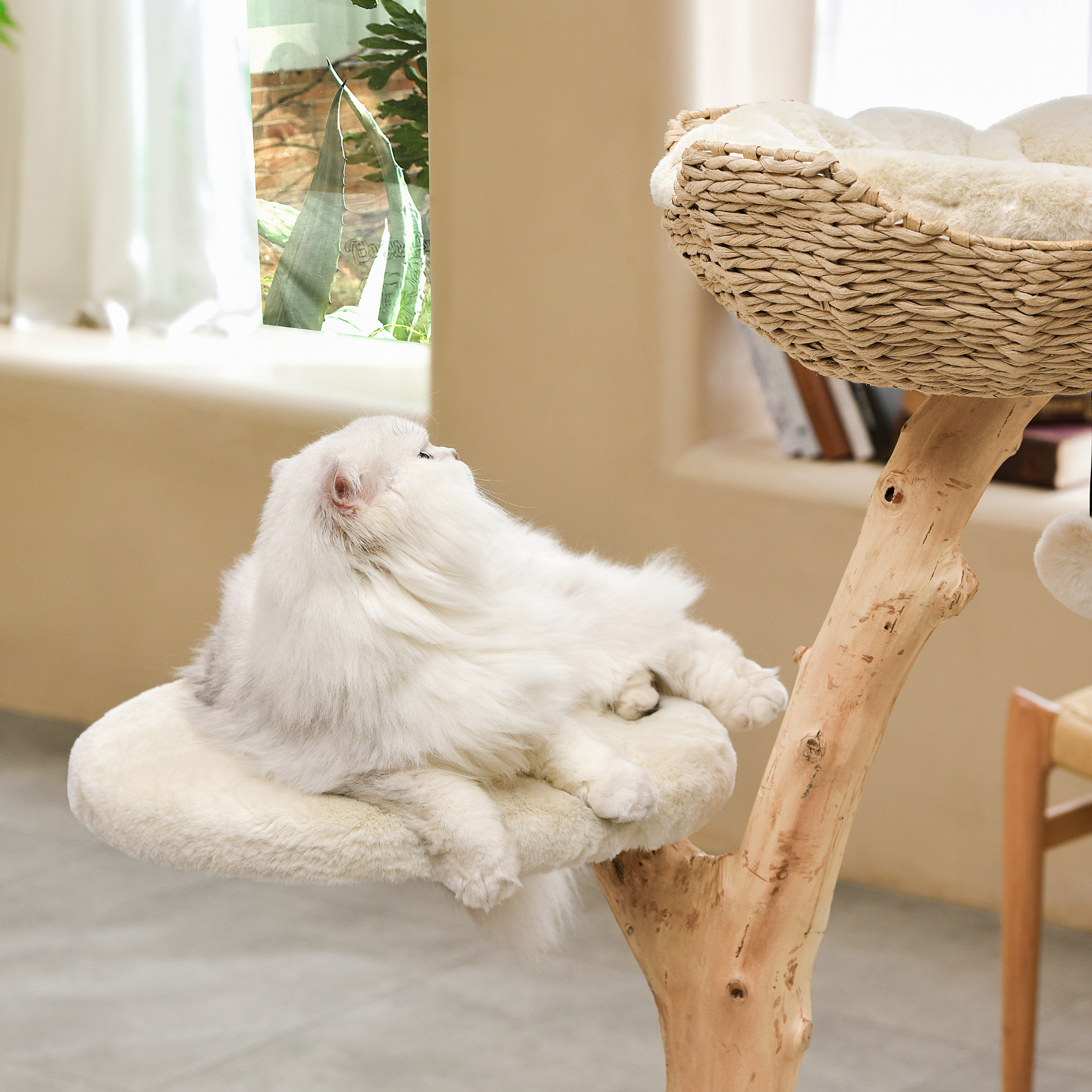 Michu Premium Real Wooden Cat Tree Medium