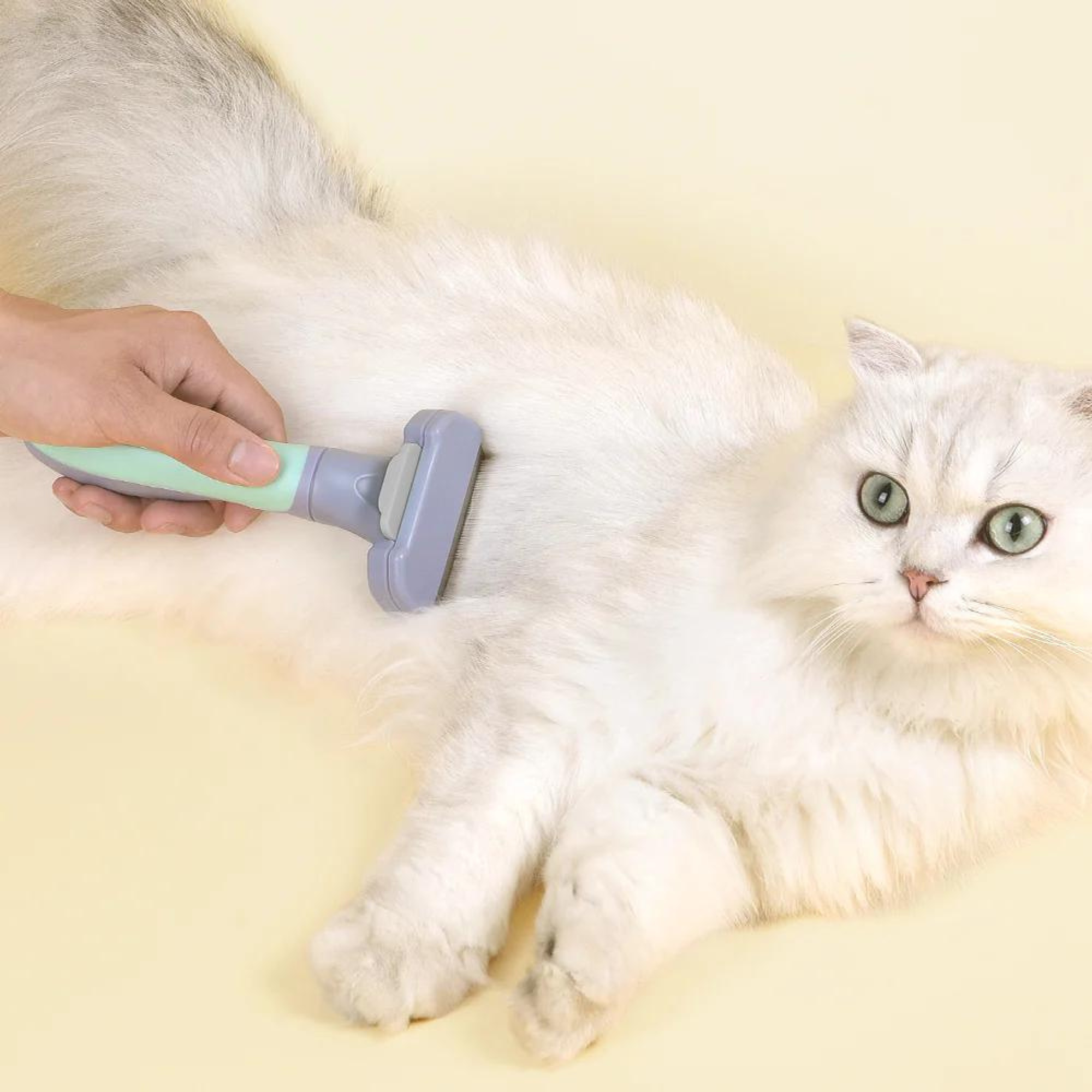 Pakeway T10 Long Hair Deshedding Cat Comb