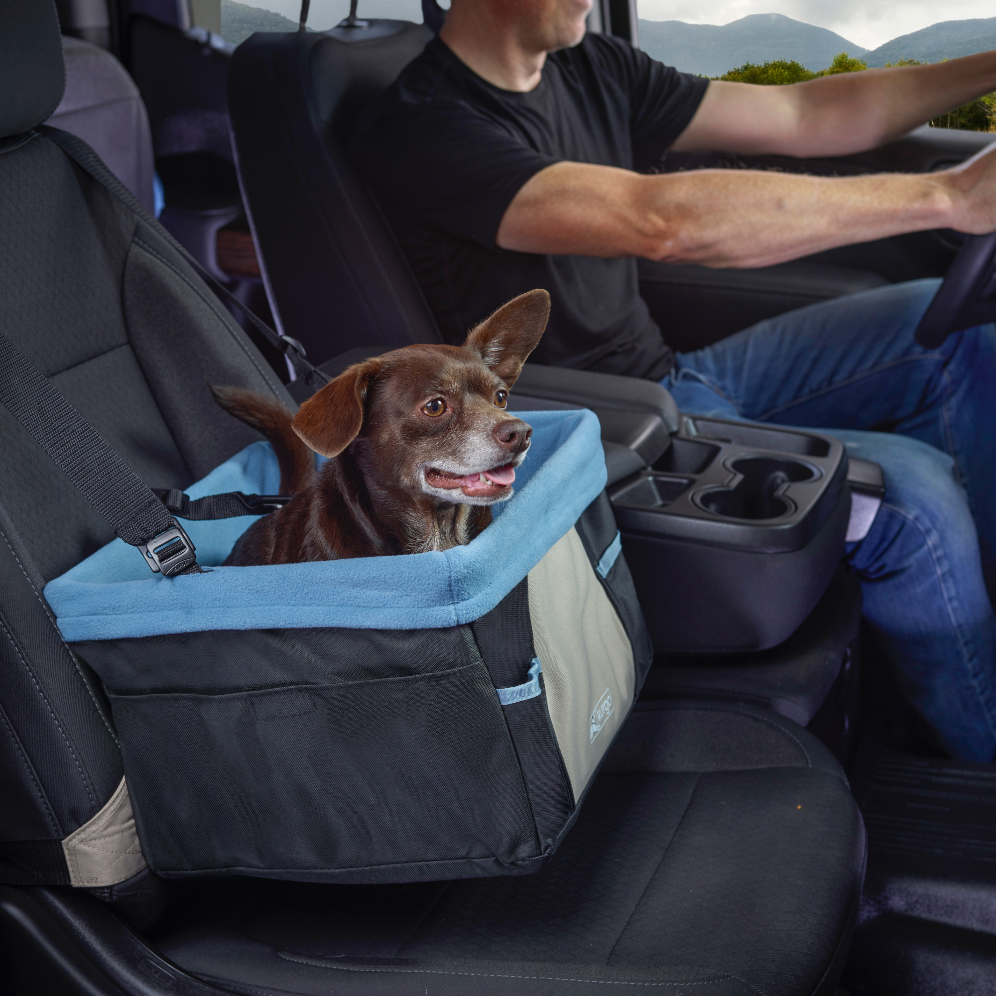 Kurgo Rover Booster Pet Seat