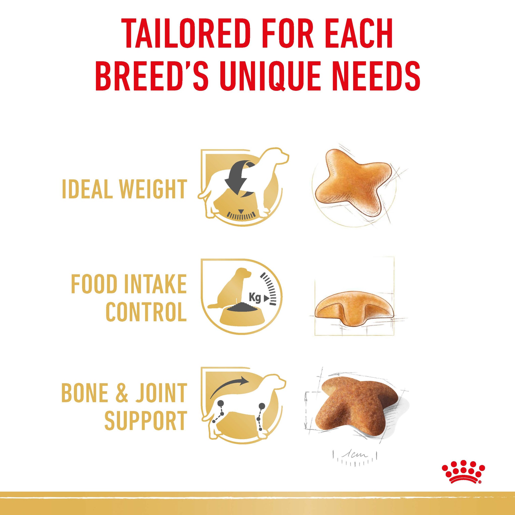 Royal Canin Dog Beagle Adult Dry Food
