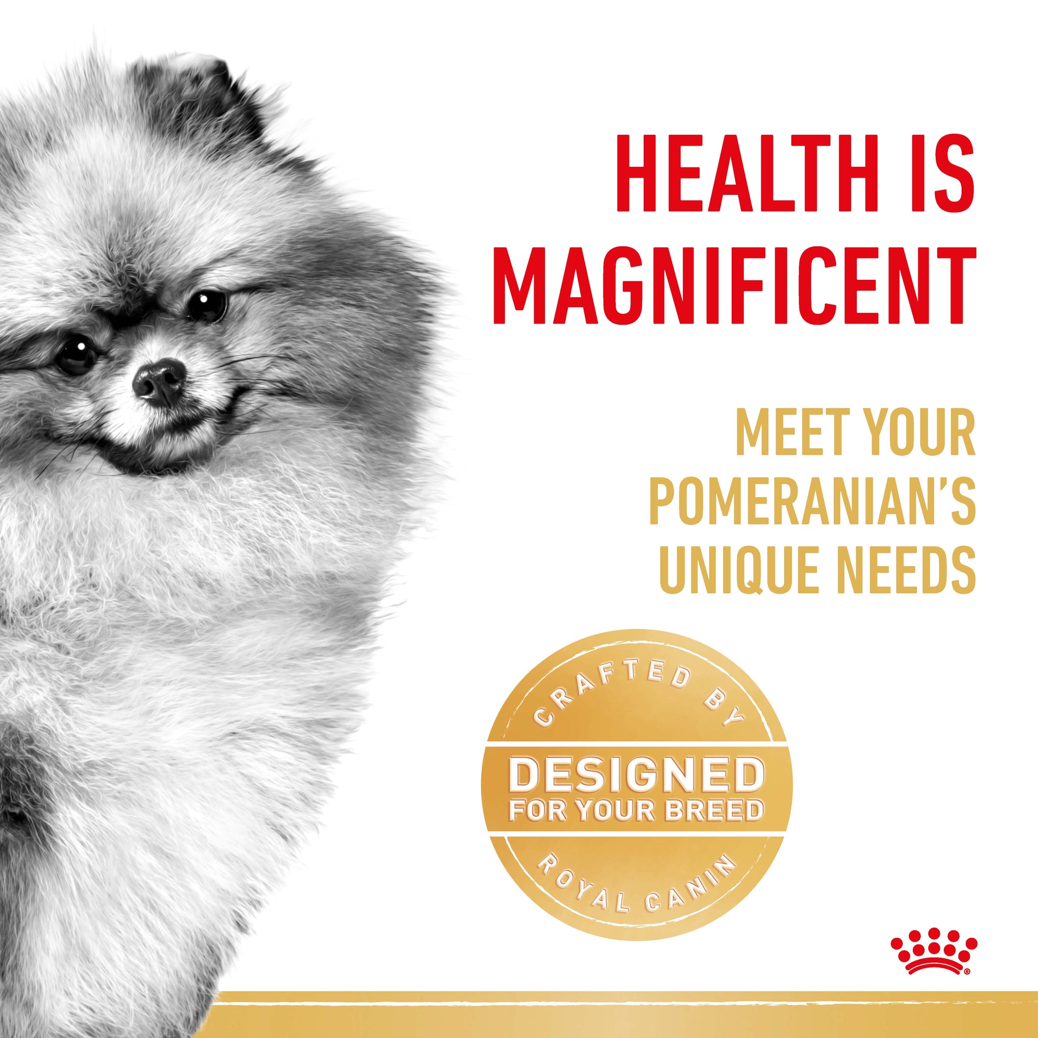 Royal Canin Dog Pomeranian Adult Wet Food Pouches 85g x 12
