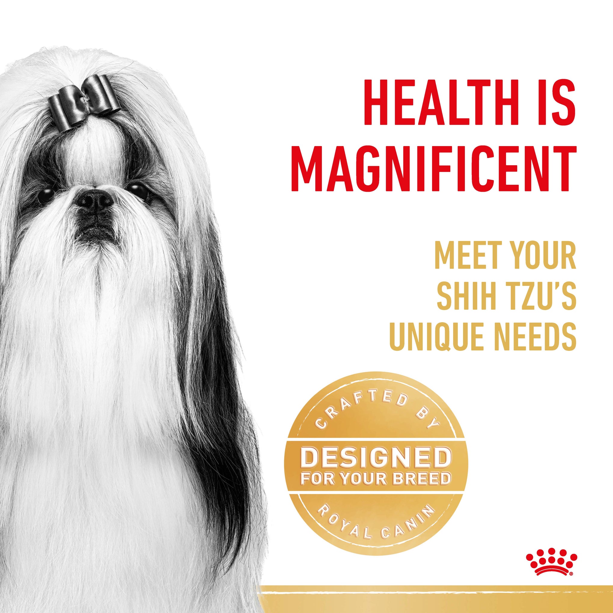 Royal Canin Dog Shih Tzu Adult Wet Loaf Dog Food Pouches 85g x 12