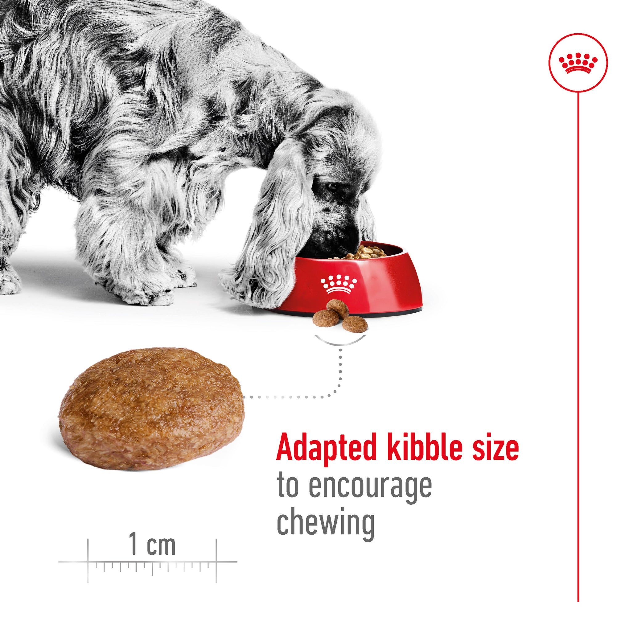 Royal Canin Medium Adult 7+ Dry Dog Food 15kg