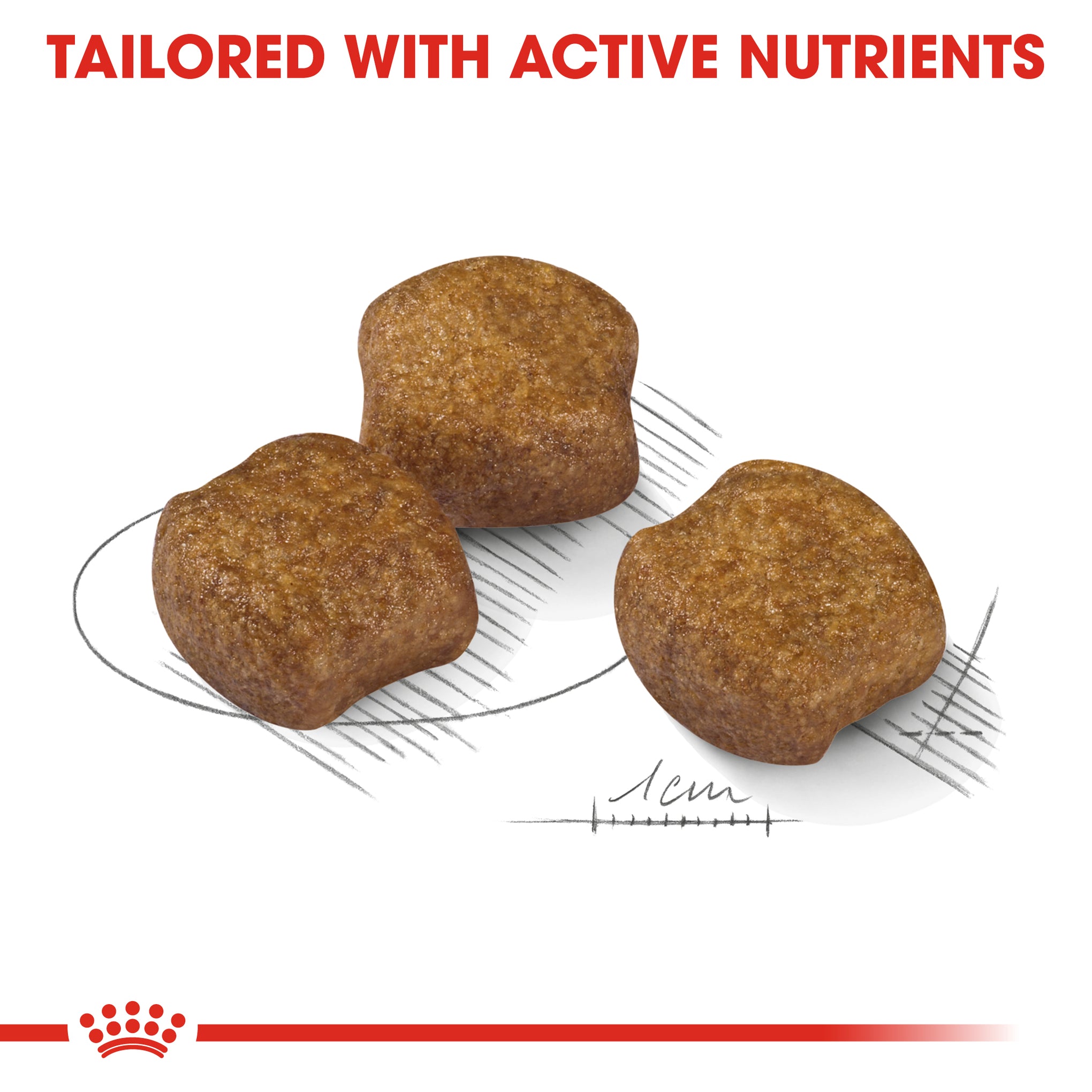 Royal Canin Medium Dental Health Care Adult Dry Dog Food 10kg