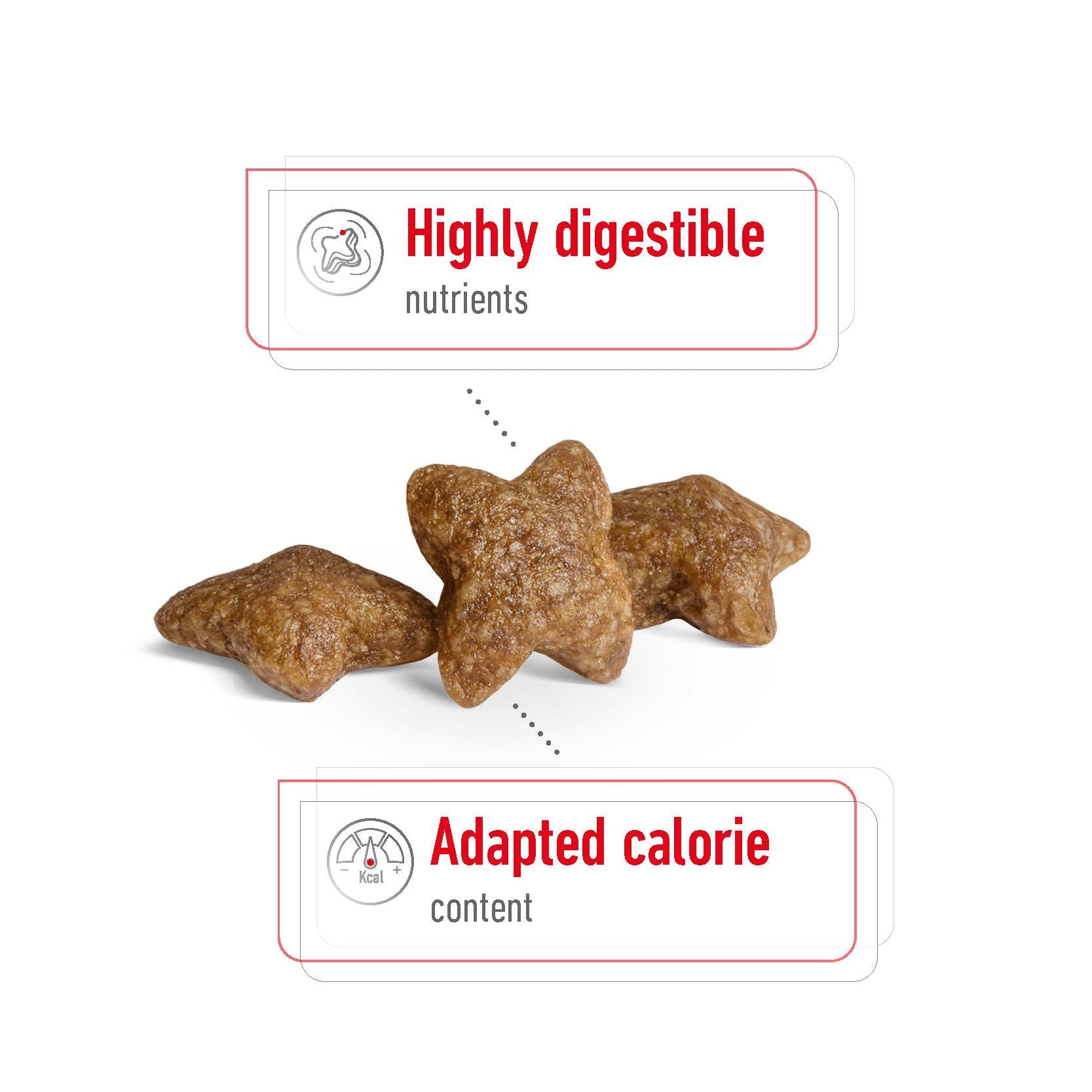 Royal Canin Mini Adult Dry Dog Food