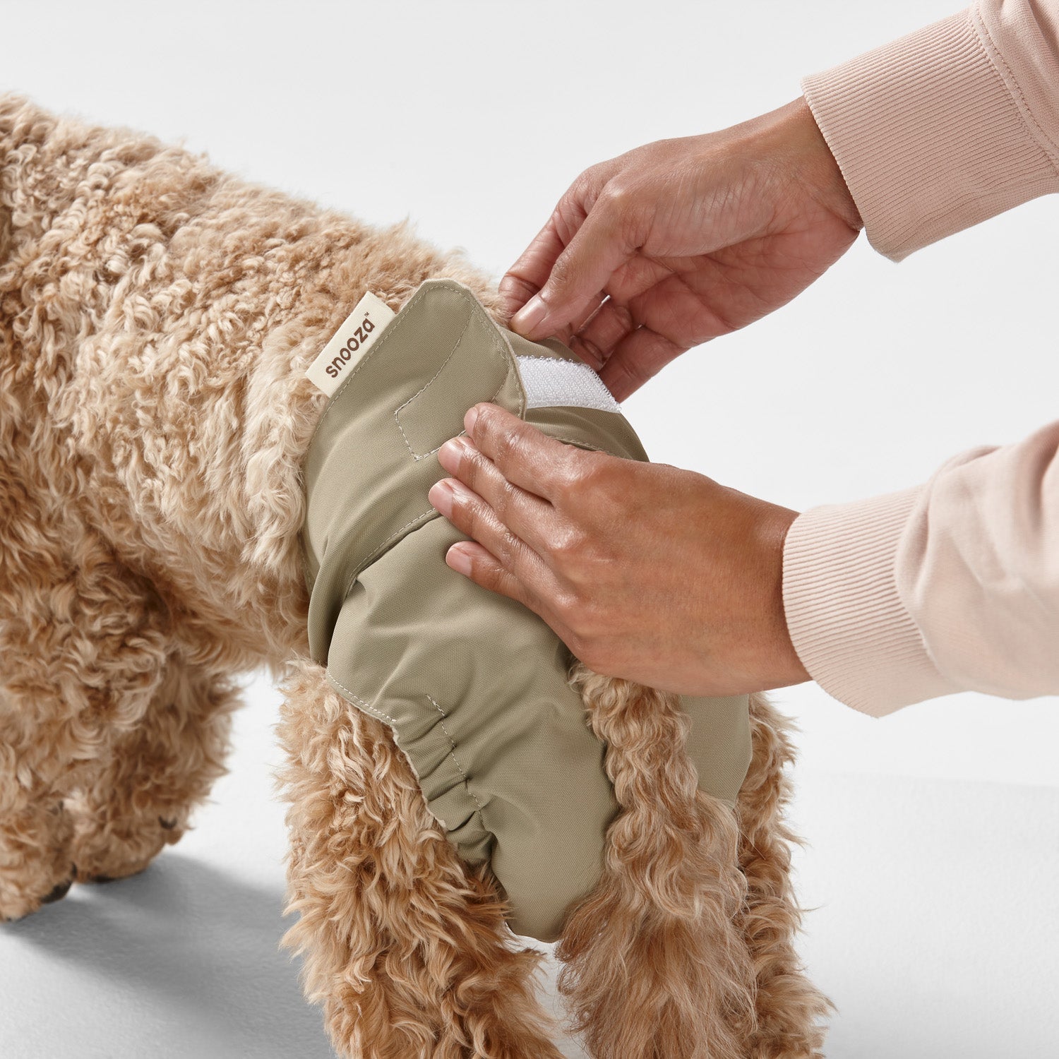 Snooza Washable Nappy Pant for Female Dogs 2 Pack