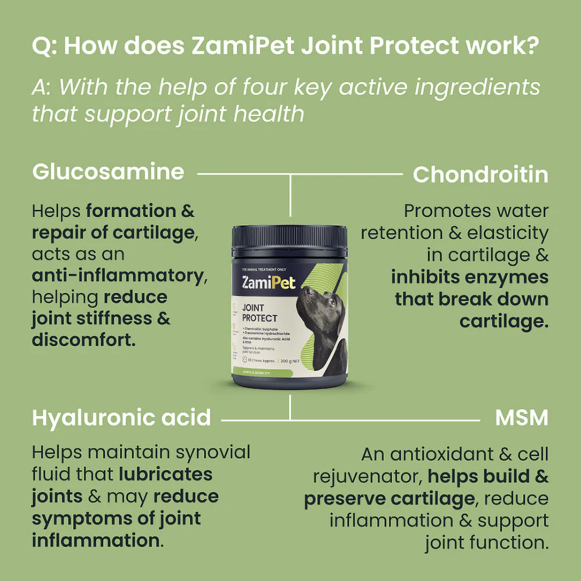 ZamiPet Joint Protect Chews for Dogs