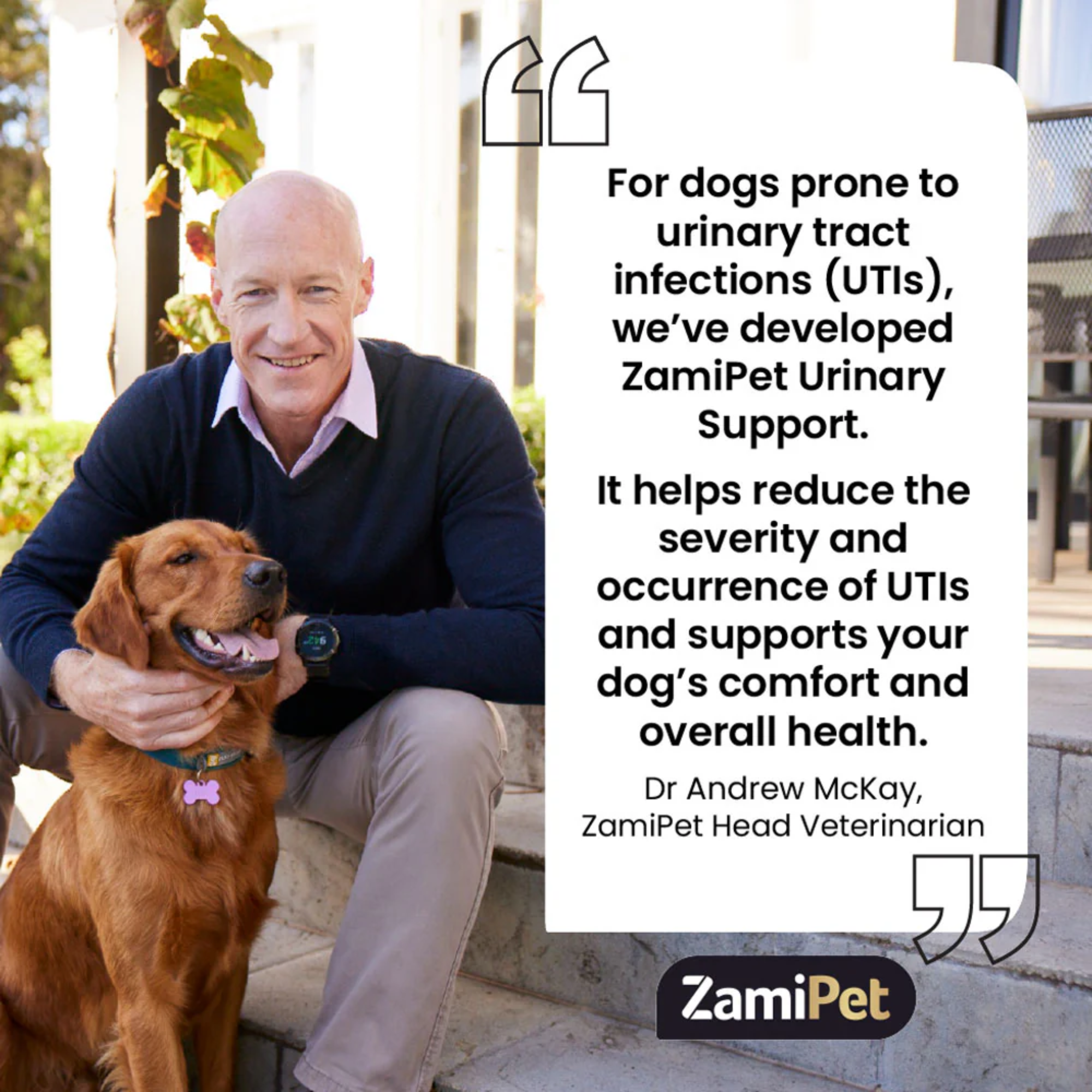 ZamiPet Urinary Support Chews for Dogs 300g 60 Pack