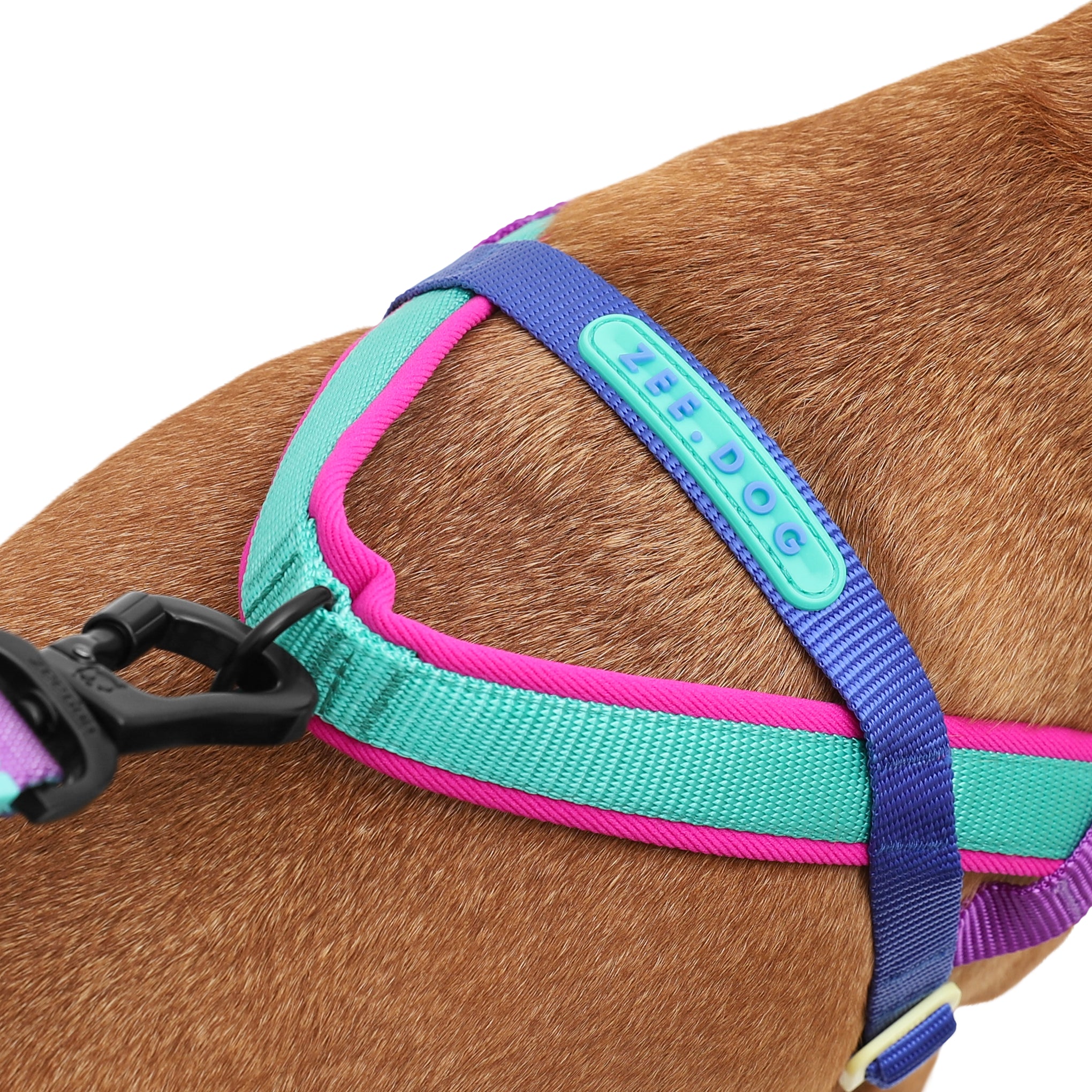 Zee Dog Shockwave SofterWalk Dog Harness