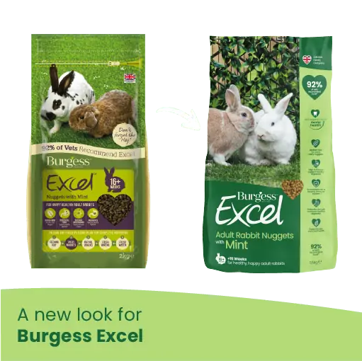 Burgess Excel Adult Mint Rabbit Nuggets