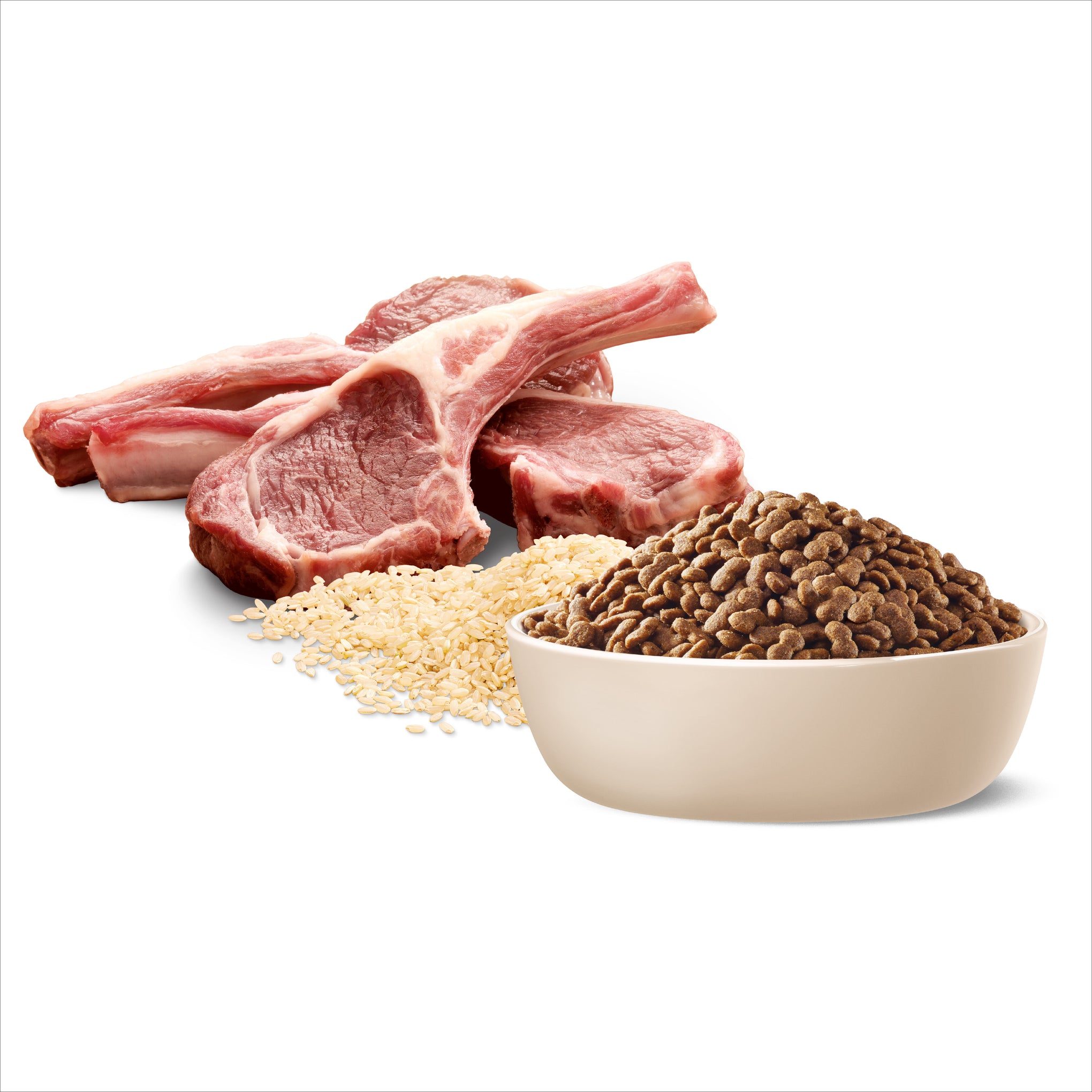 Advance Lamb and Rice Small Breed Adult Dry Dog Food