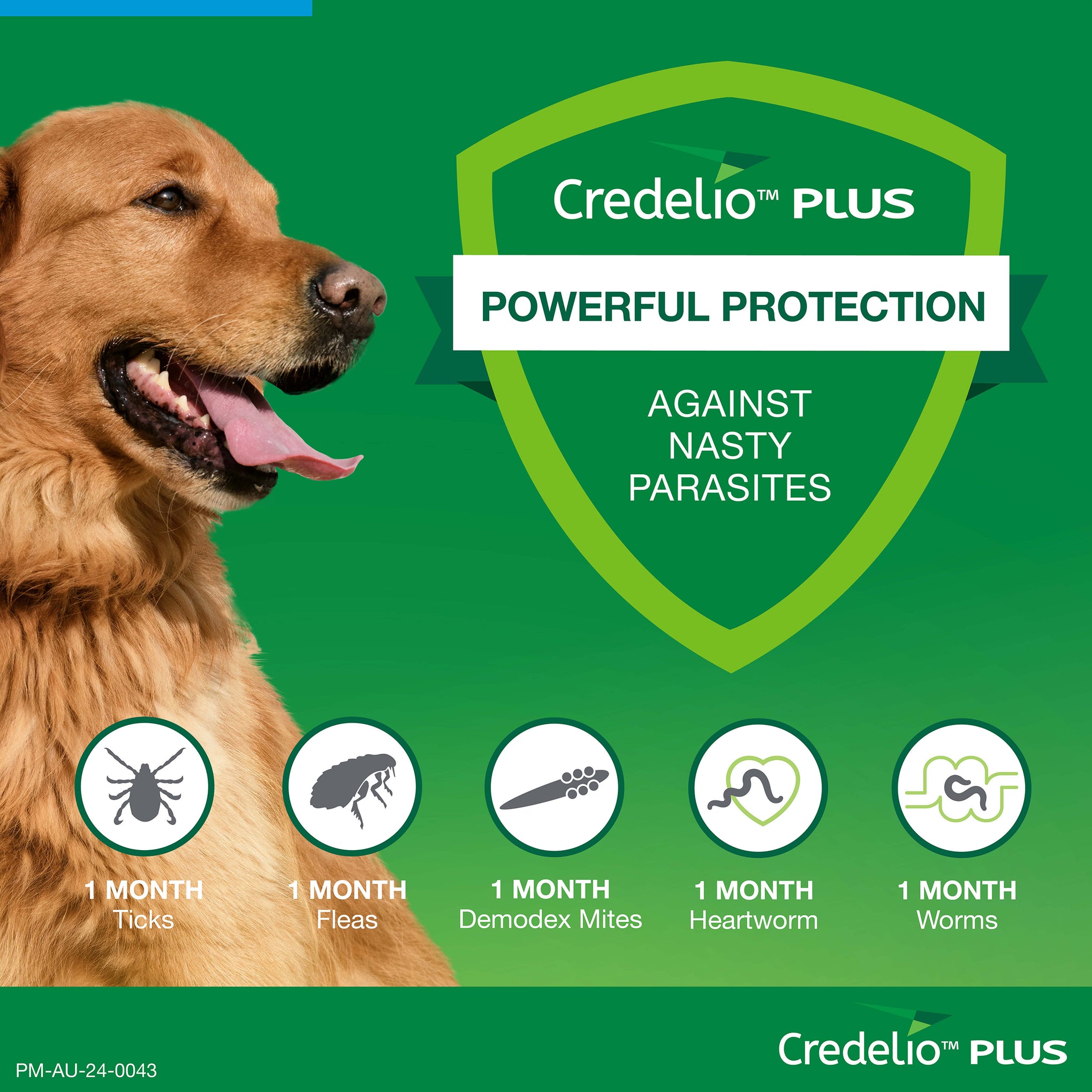 Credelio Plus Extra Large Dog Chews 22-45kg (Blue)