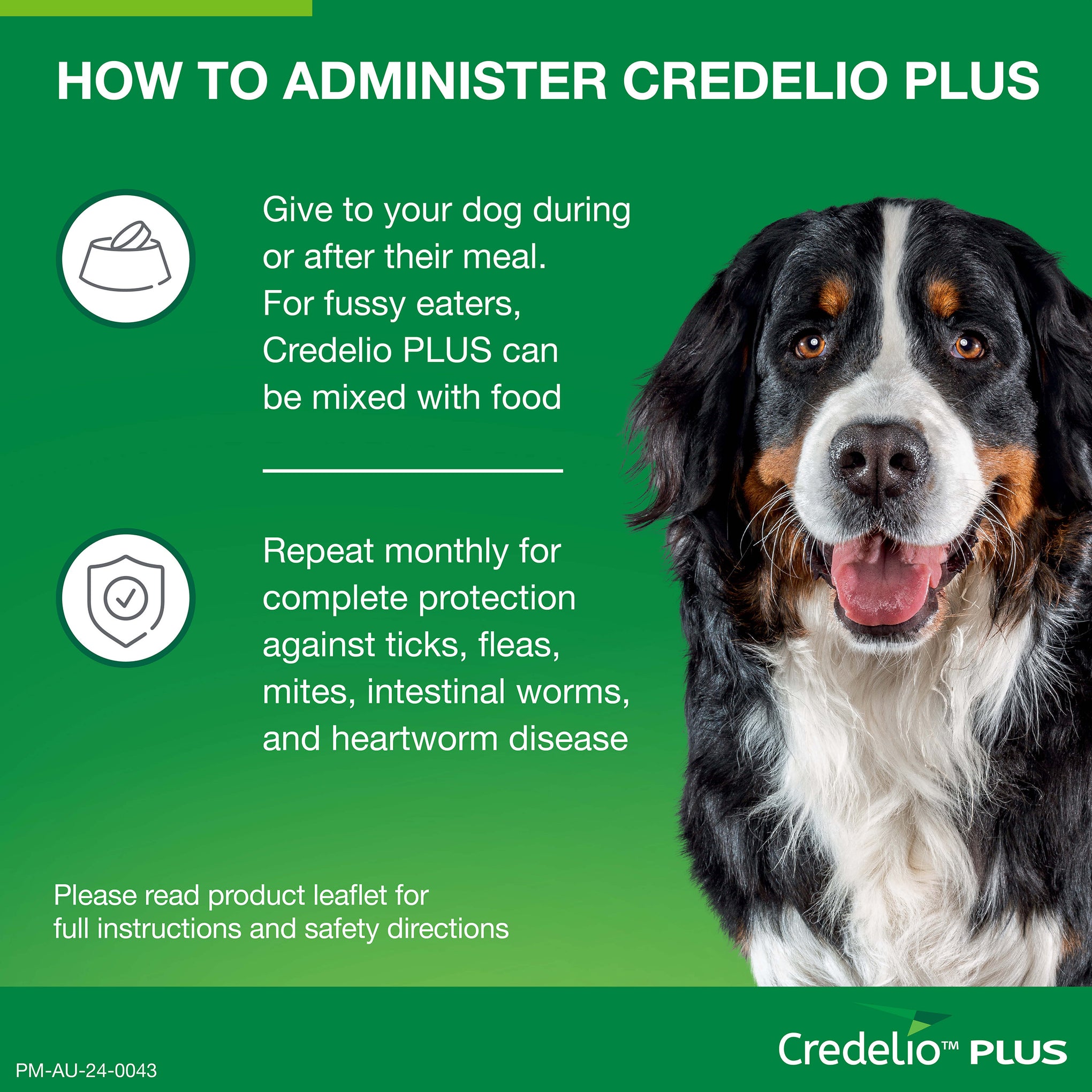 Credelio Plus Large Dog Chews 11-22kg (Green)