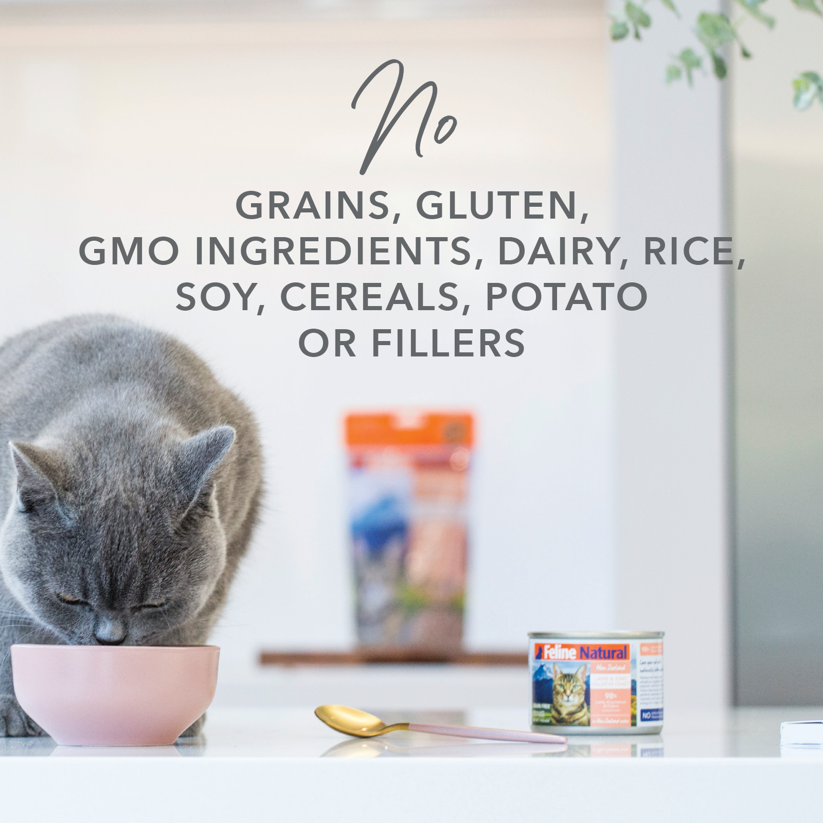 Feline Natural BPA Free & Gelatin Free Canned Cat Food Chicken 170g x 24