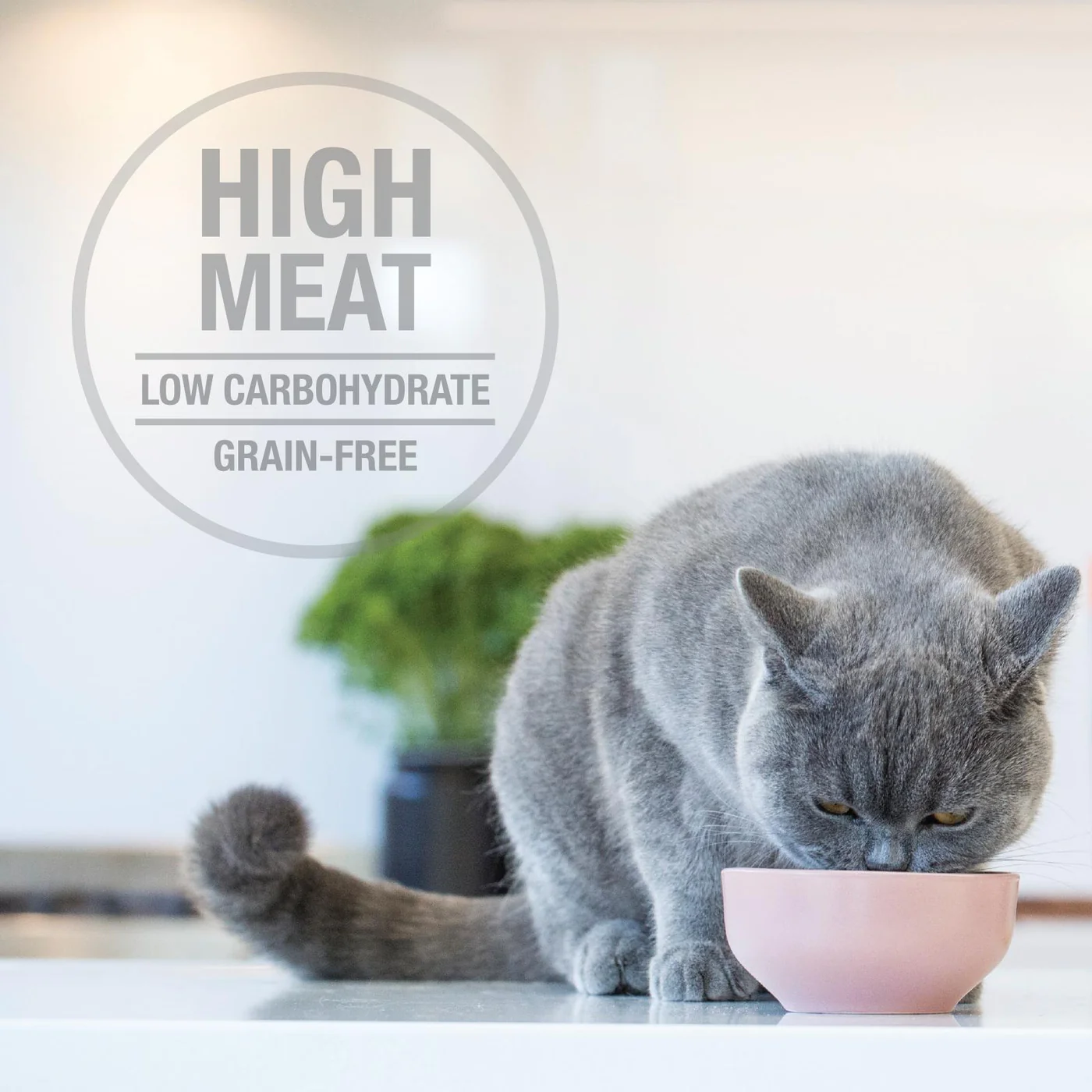 Feline Natural Grain Free Pouches Variety Box 85g x 24